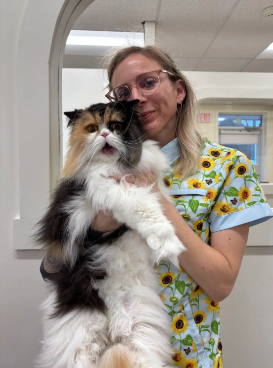 A woman in a sunflower print medical scrubs holding a long-haired calico cat with white, black, and orange fur indoors.