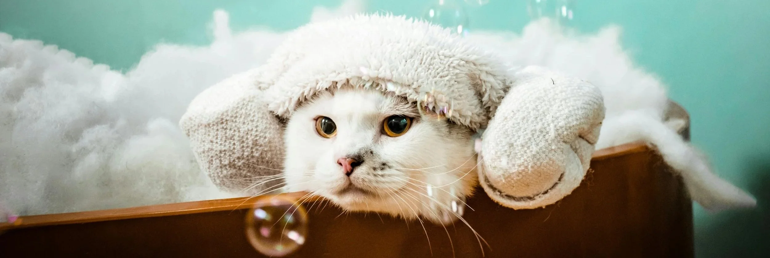 A white cat with gray markings, wearing a cozy beige knit hat and mittens, gazes over the edge of a brown surface with a bubble floating nearby. The background appears to be a soft, light blue, possibly with snow or fluffy material behind the cat.