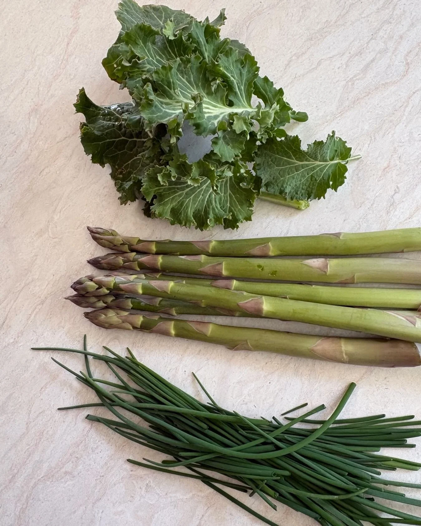 Does any one else get excited about these early harvests? They are small, yes, but after such a long winter, I feel such a sense of renewal on the land. Perennial vegetables rock. This baby kale actually grew on old stocks left in the garden from las