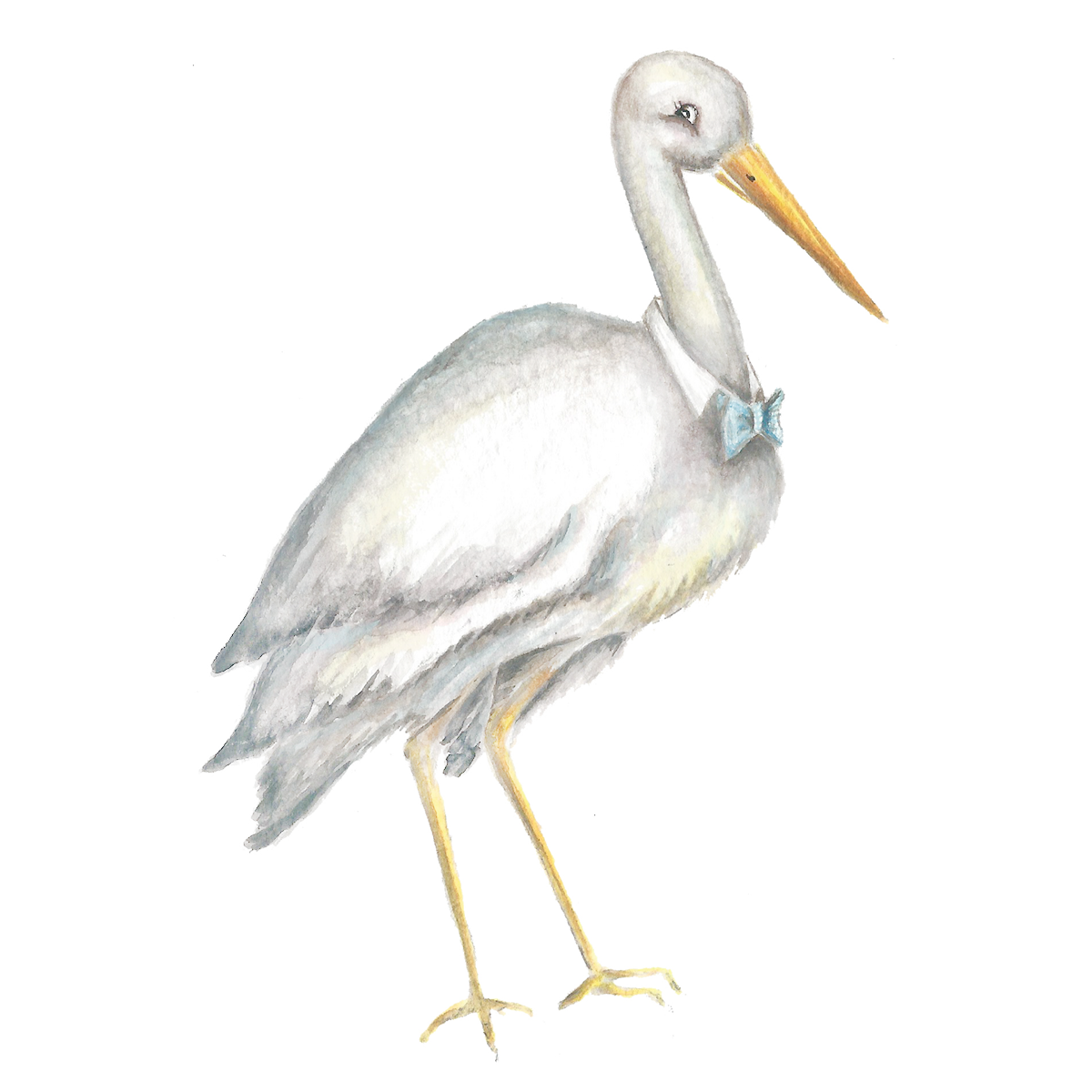 Carrie Beth Champion for The Beaufort Bonnet Company.png