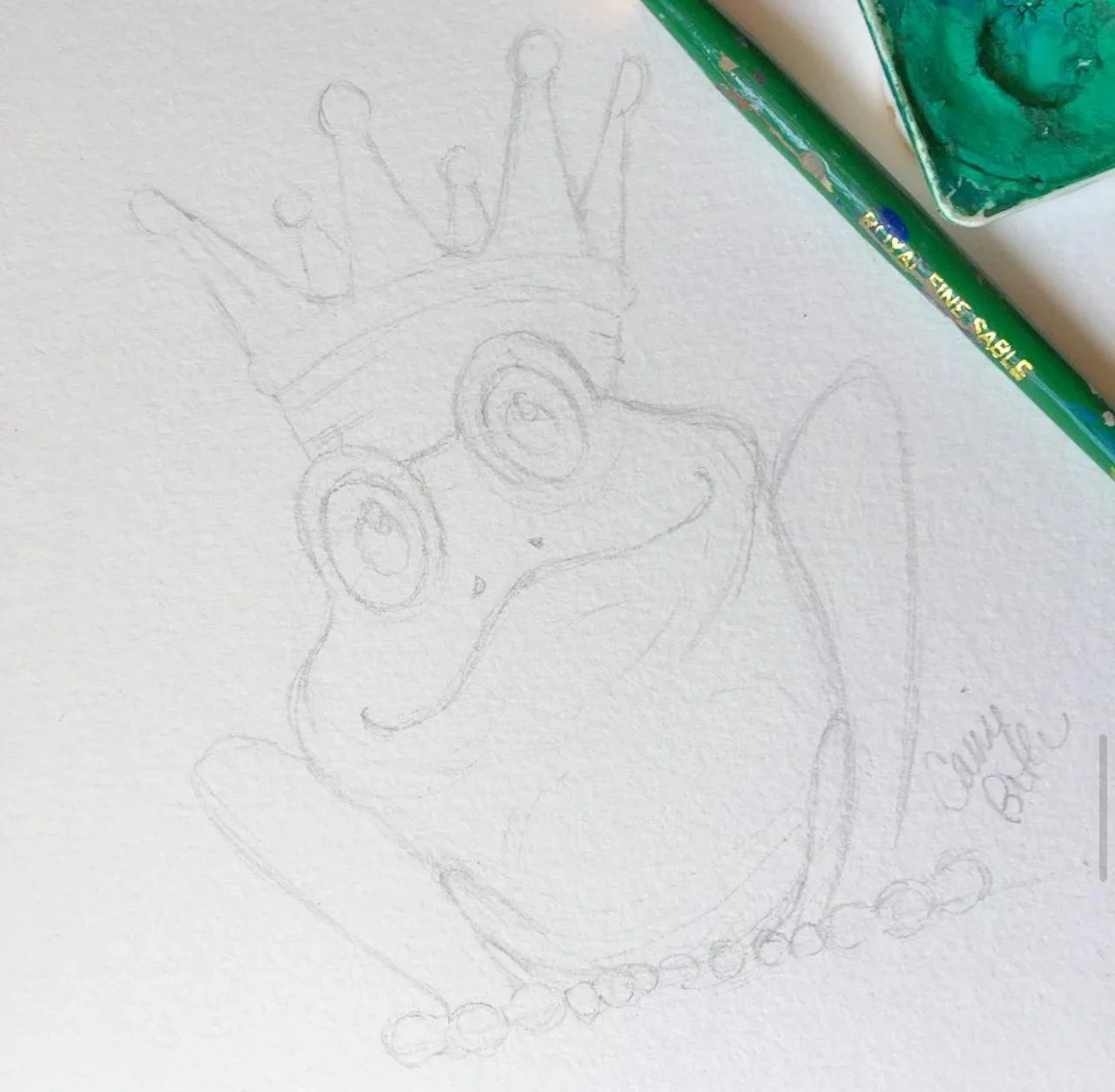 Frog Sketch Illustration by Carrie Beth