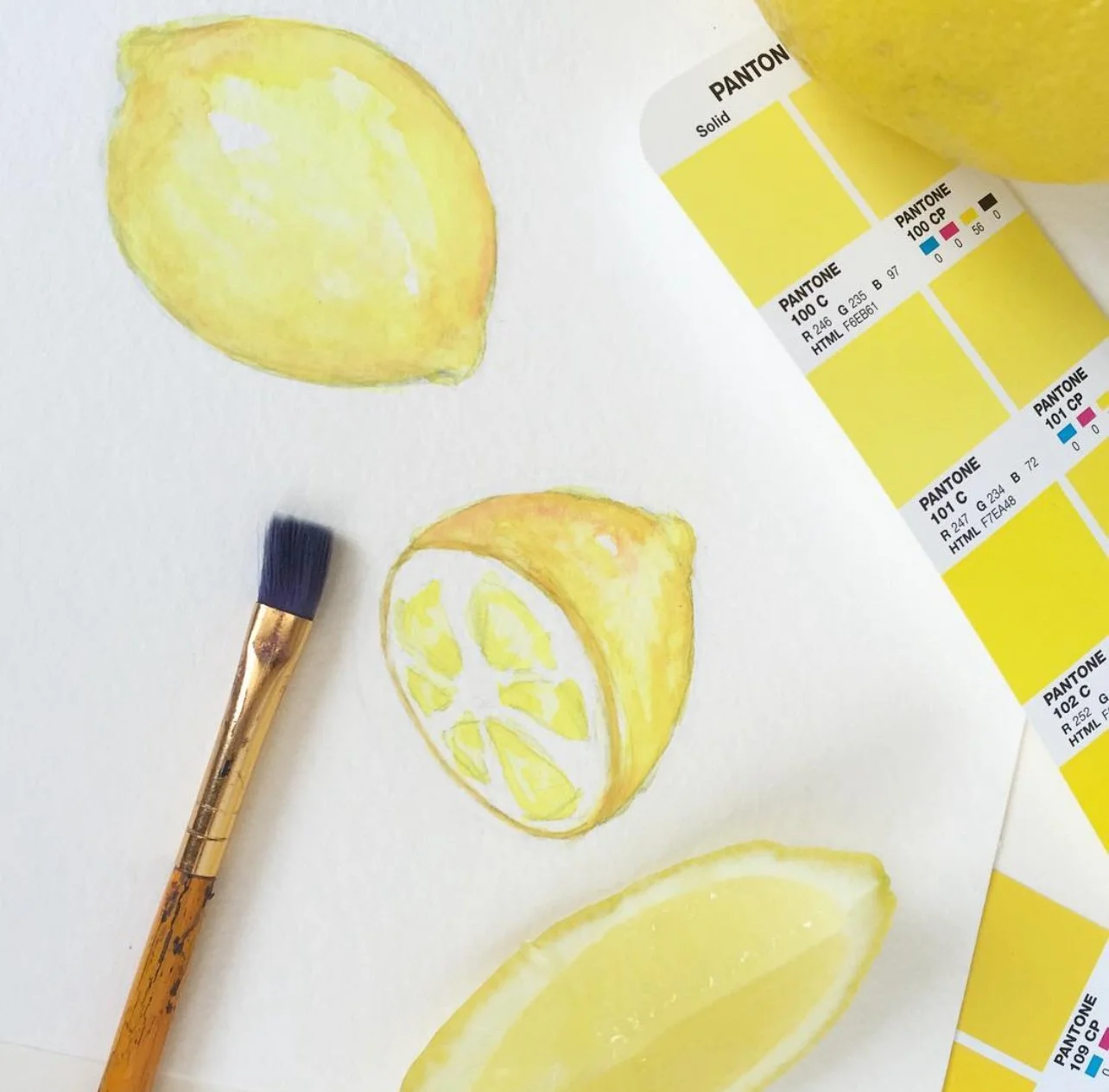 Lemons Illustration by Carrie Beth