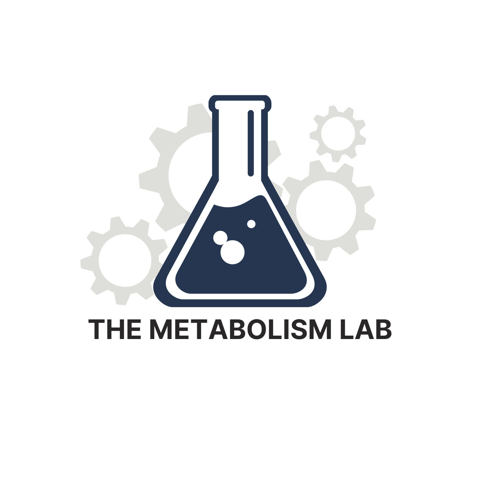 A logo featuring a laboratory flask with bubbles inside, surrounded by gray gears, and the text 'THE METABOLISM LAB' underneath.