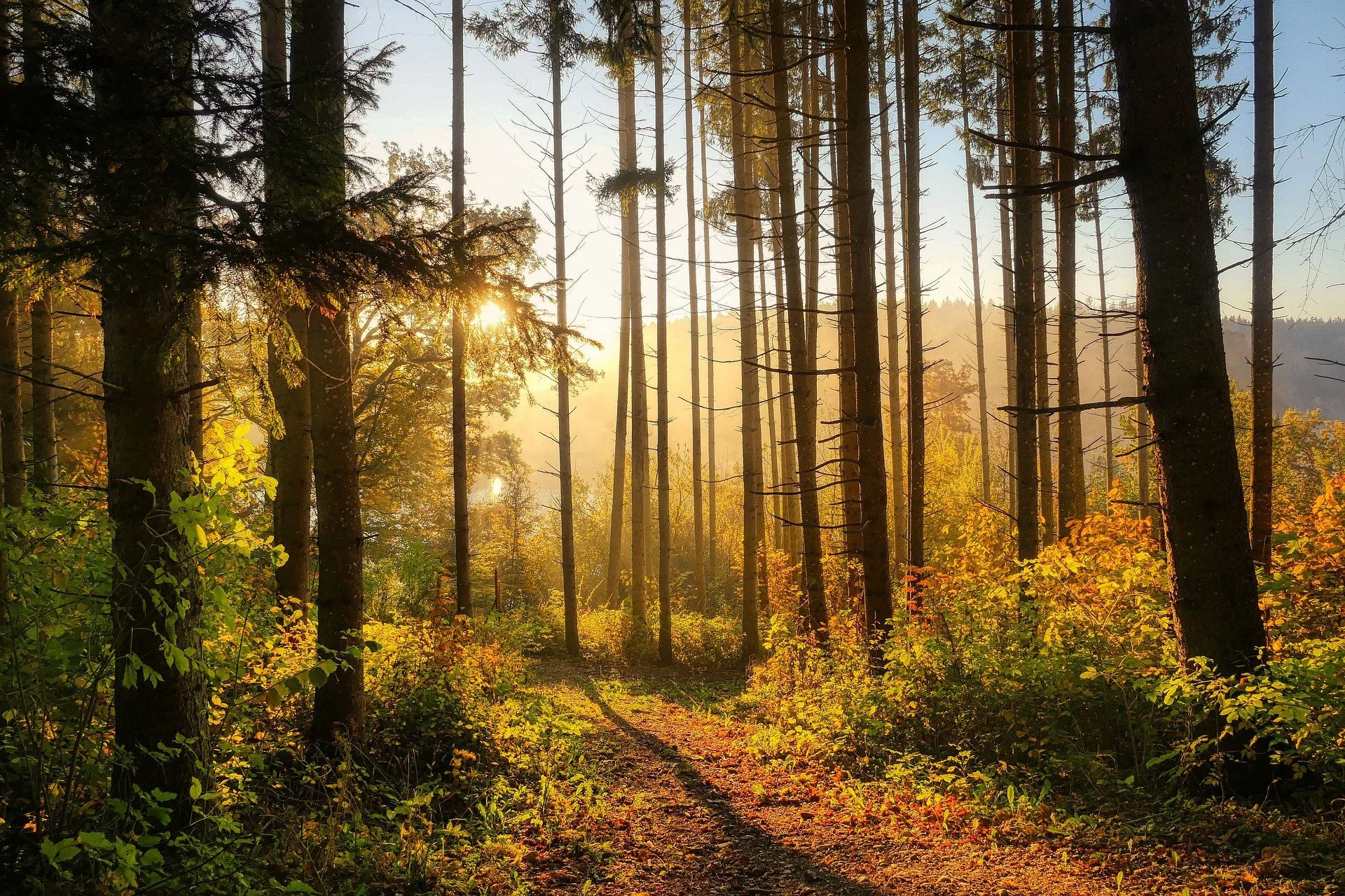 Bilan de fin de saison trail : ce que ton mental peut t'apprendre pour la saison prochaine