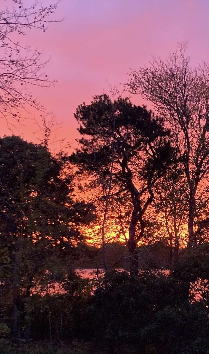 Core Values Activities