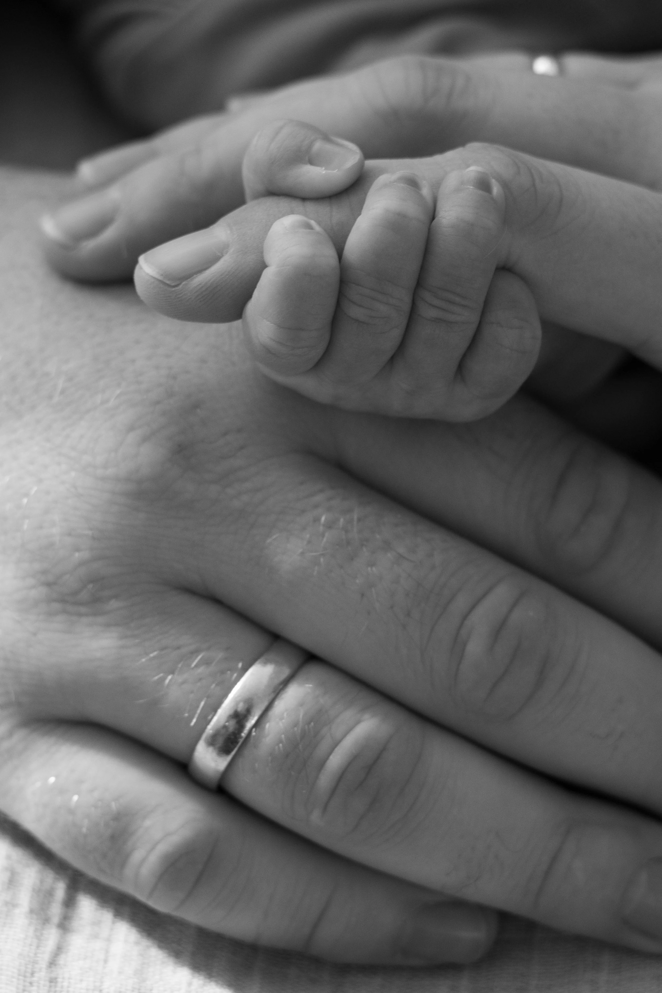 Nahaufnahme von einer Hand einer Erwachsenen und einer kleinen Hand eines Babys, die sich berühren, in schwarz-weiß.
