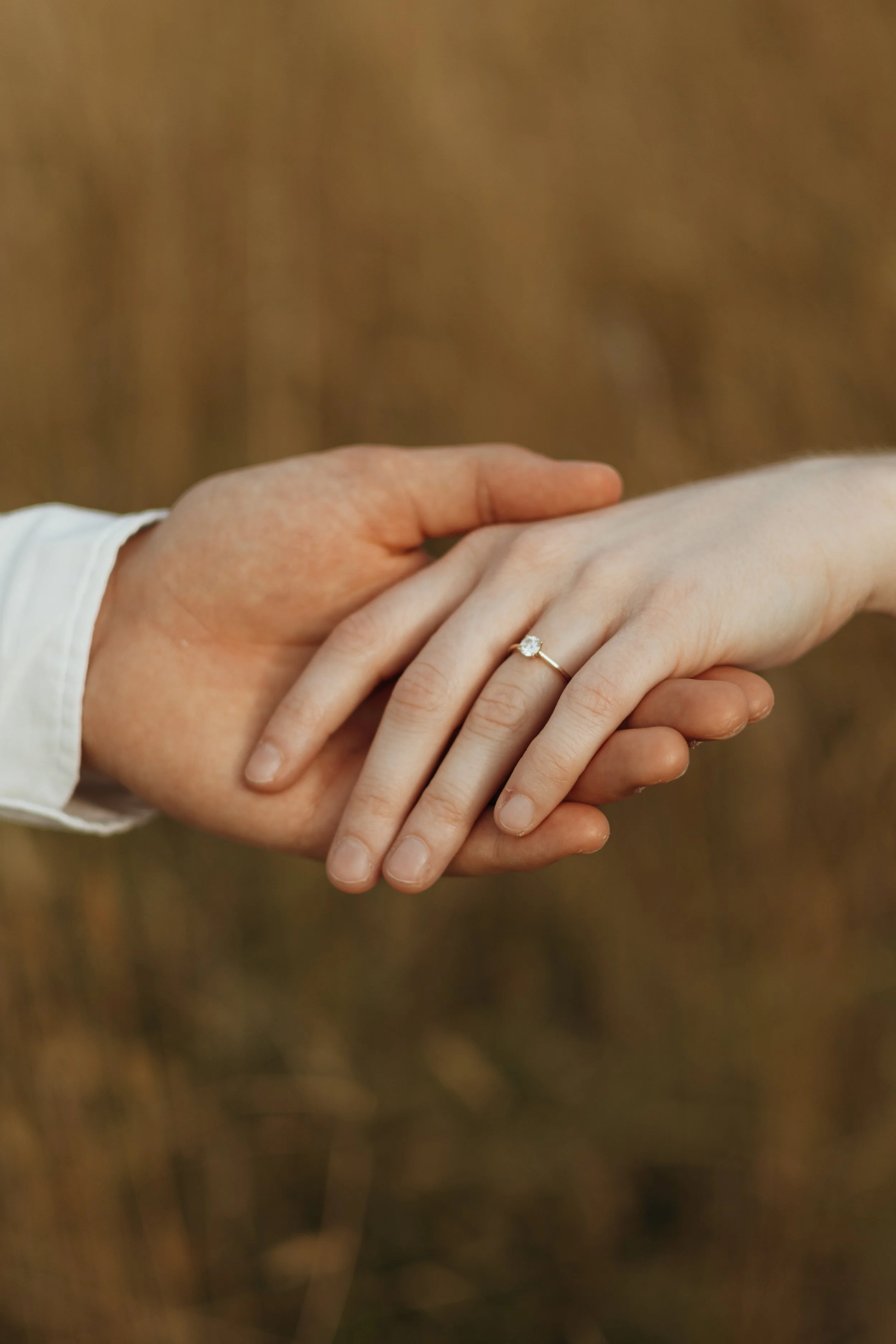 Zwei Hände, eine davon mit einem Kronenring, halten sich an einem braunen, unscharfen Hintergrund.