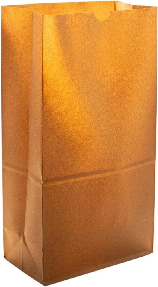Kraft Paper Bags #25 Tall (500/Case)