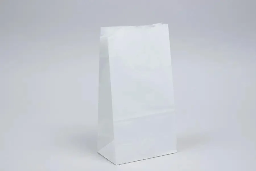 White Paper Bags #6 (500/Case)