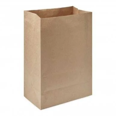Kraft Paper Bags #12 (500/Case)