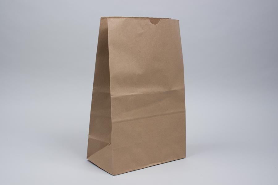 Kraft Paper Bags #6 (500/Case)