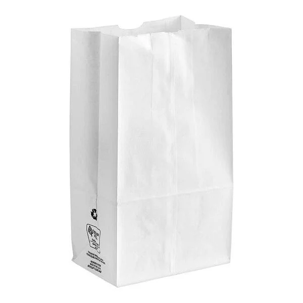 White Paper Bags #12 (500/Case)