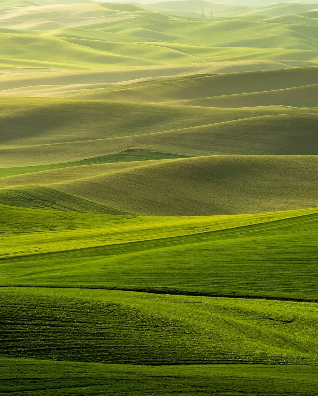 When I told people I was heading into eastern Washington next to photograph the farmlands of the Palouse I got a strange look. It was something of a &ldquo;really&hellip;there is something out there?&rdquo; Not just a beautiful land shaped by wind an