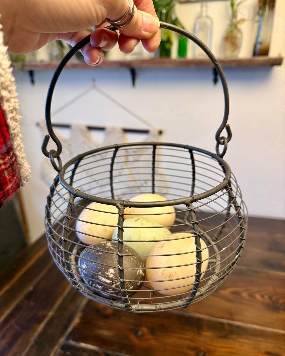 Ducklings are on the way! In roughly 30 days, we expect to have fresh hatchlings that will be ready for their new quack shack.

#m7tradingpost #m7 #ducklings #duckling #ducklingsforsale #ducklings🐣