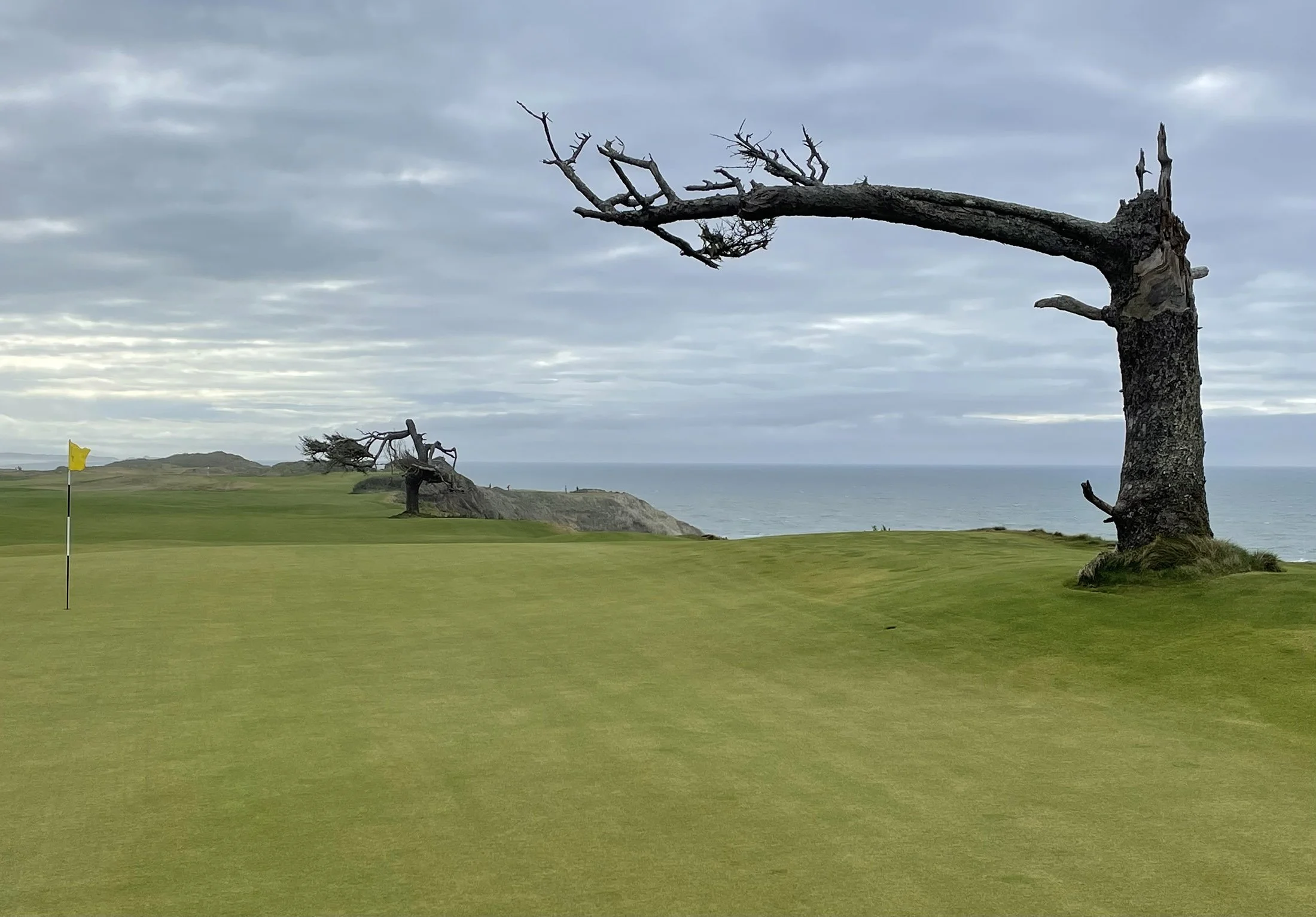 A golf course with green grass and a yellow flag, near rocky cliffs and the ocean, under a cloudy sky, with several large, barren trees.