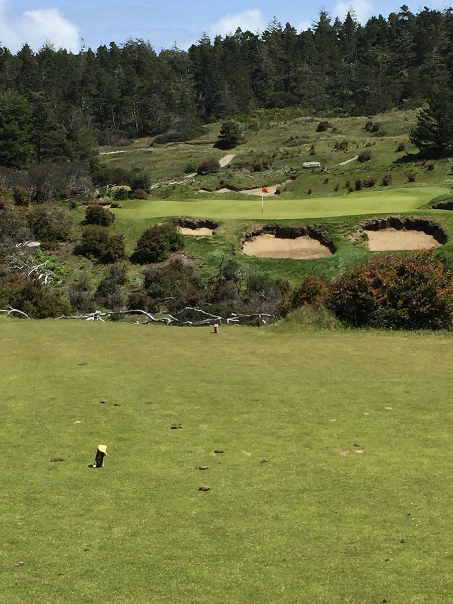 A view of a golf course with a tee box in the foreground, sand bunkers, and a flag on the green in the distance, surrounded by trees and hills.