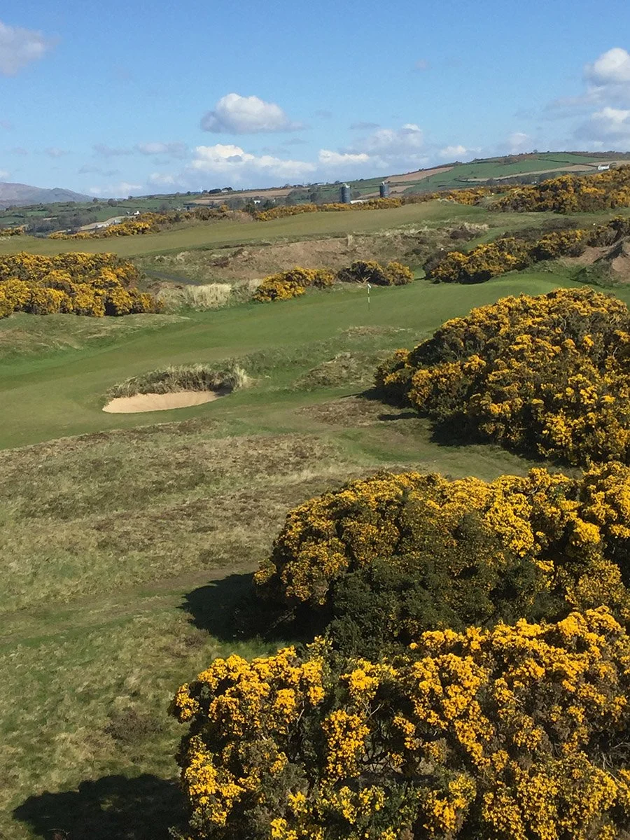 A golf course with green fairways, sand bunkers, and yellow flowering bushes under a partly cloudy blue sky.