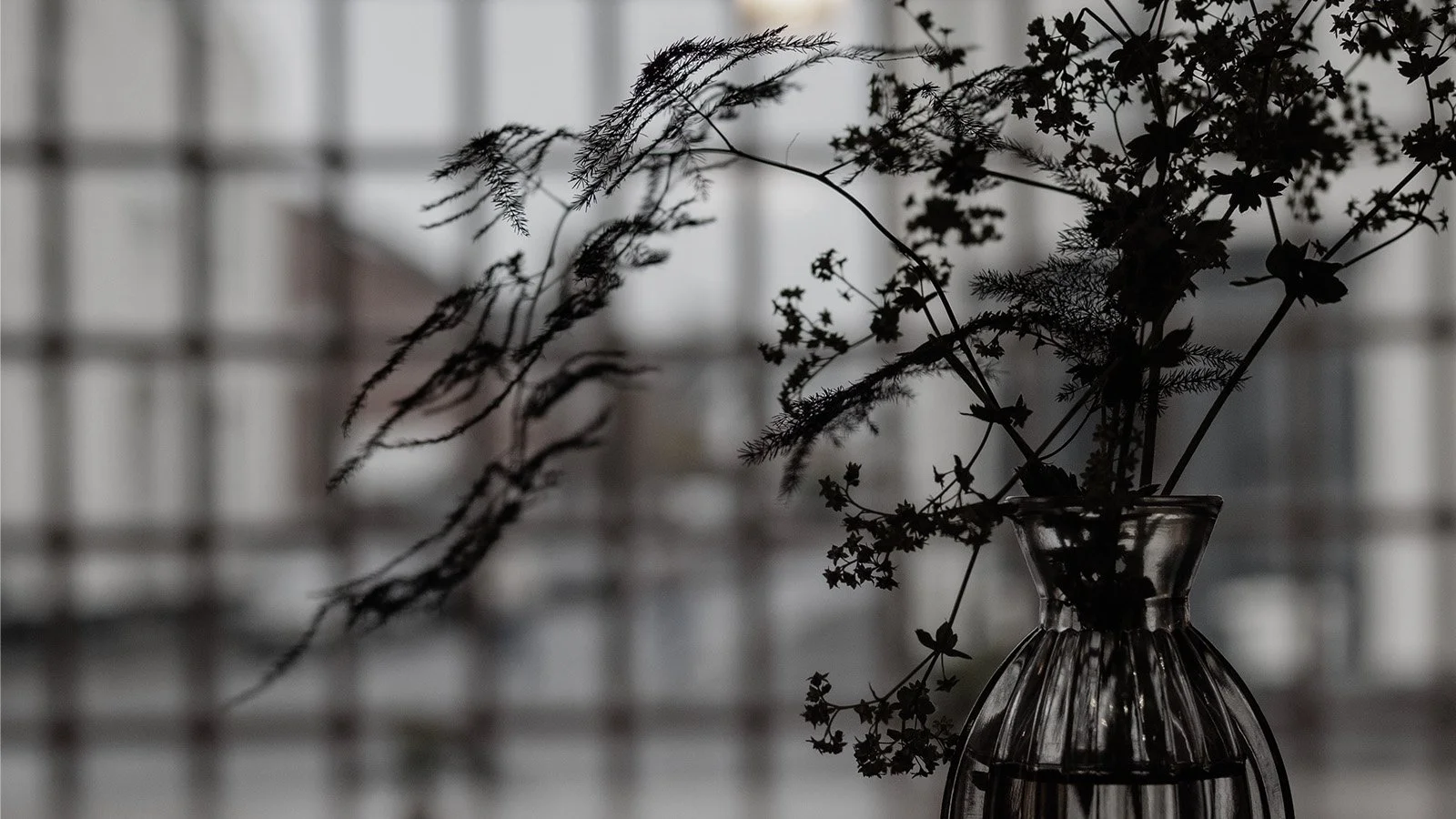 Elephant and Church window