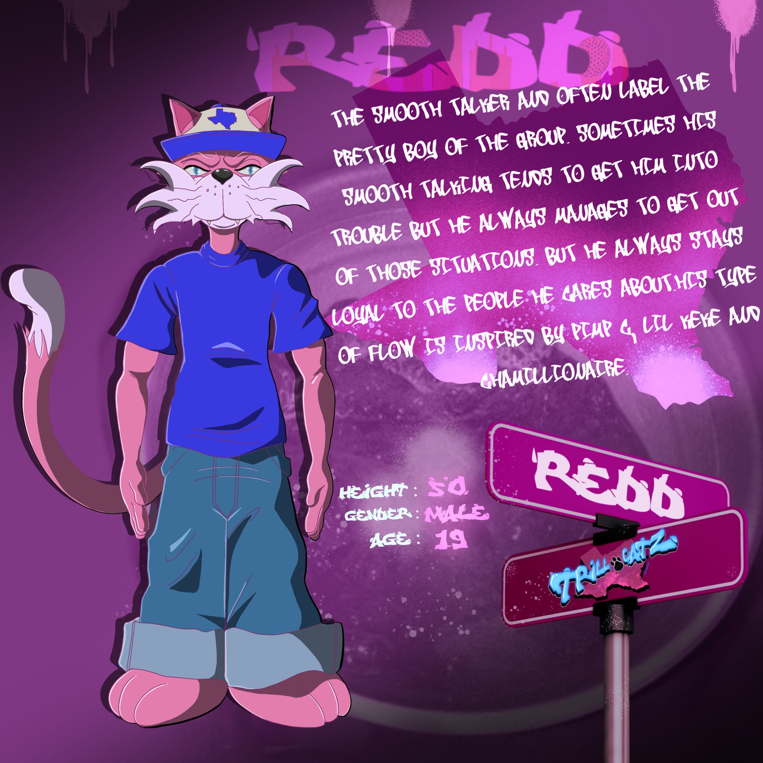 A cartoon anthropomorphic cat character wearing , a blue t-shirt, jeans, and pink shoes standing next to a street sign . There is a paragraph of handwritten-style white text describing the character's personality traits and background, with a purple 
