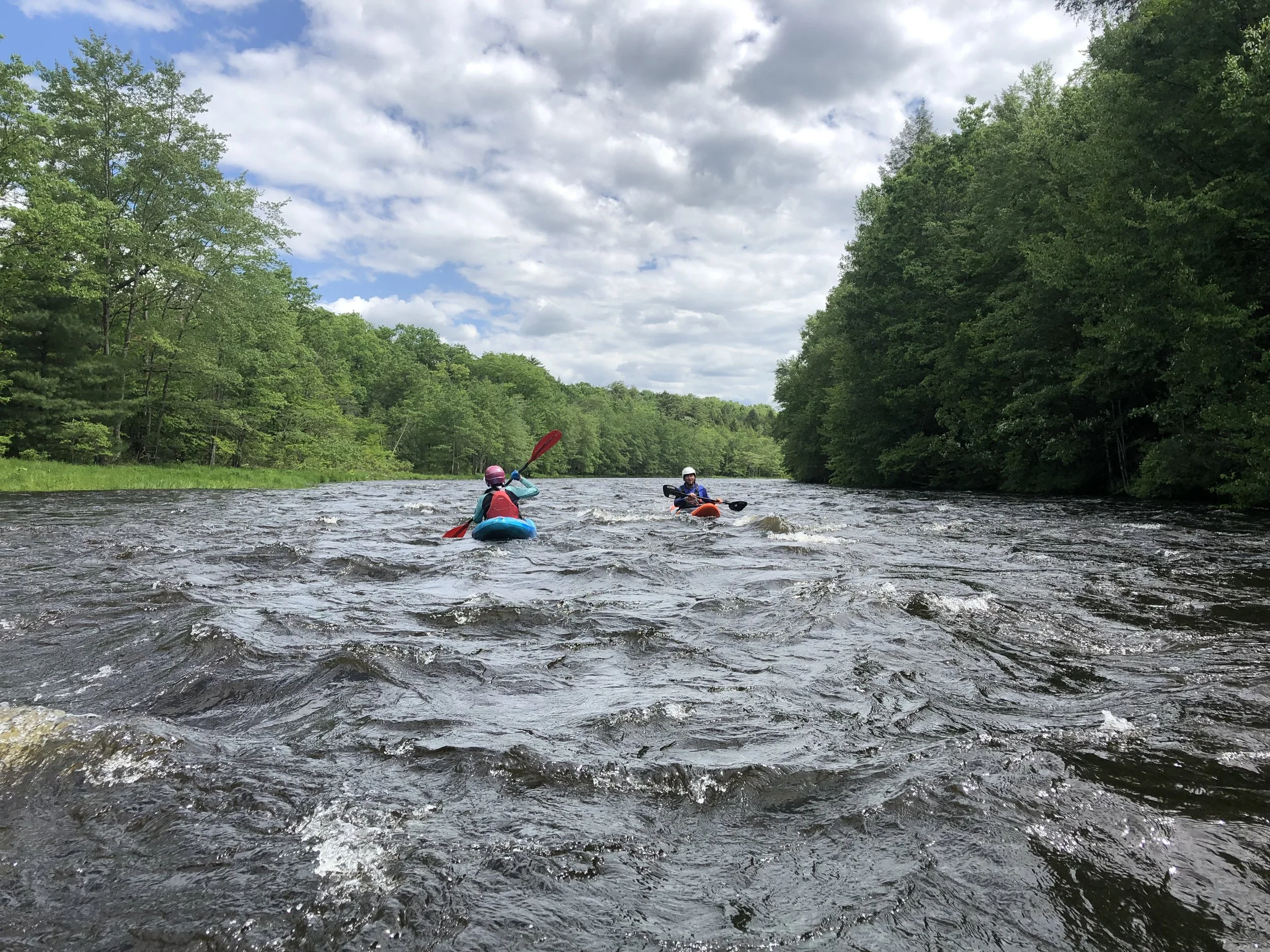 Beginner Whitewater Kayaking Immersion + Dinner at Kelley Farm Kitchen! 8/8