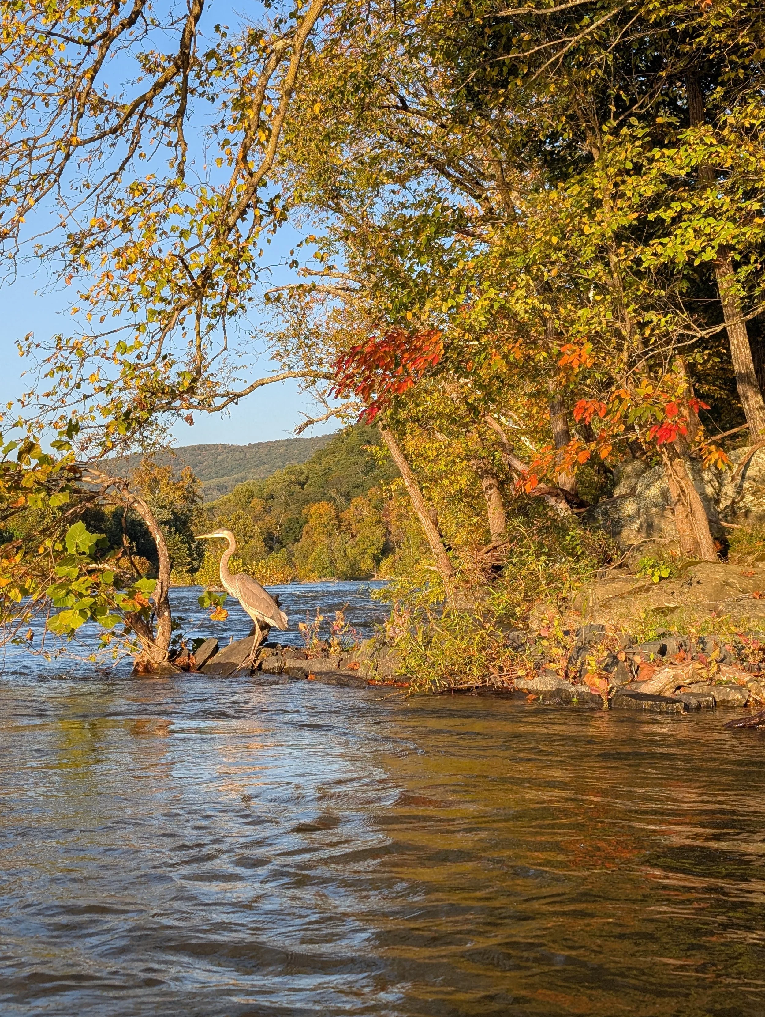 PXL_20261013_213726556.MP.jpg