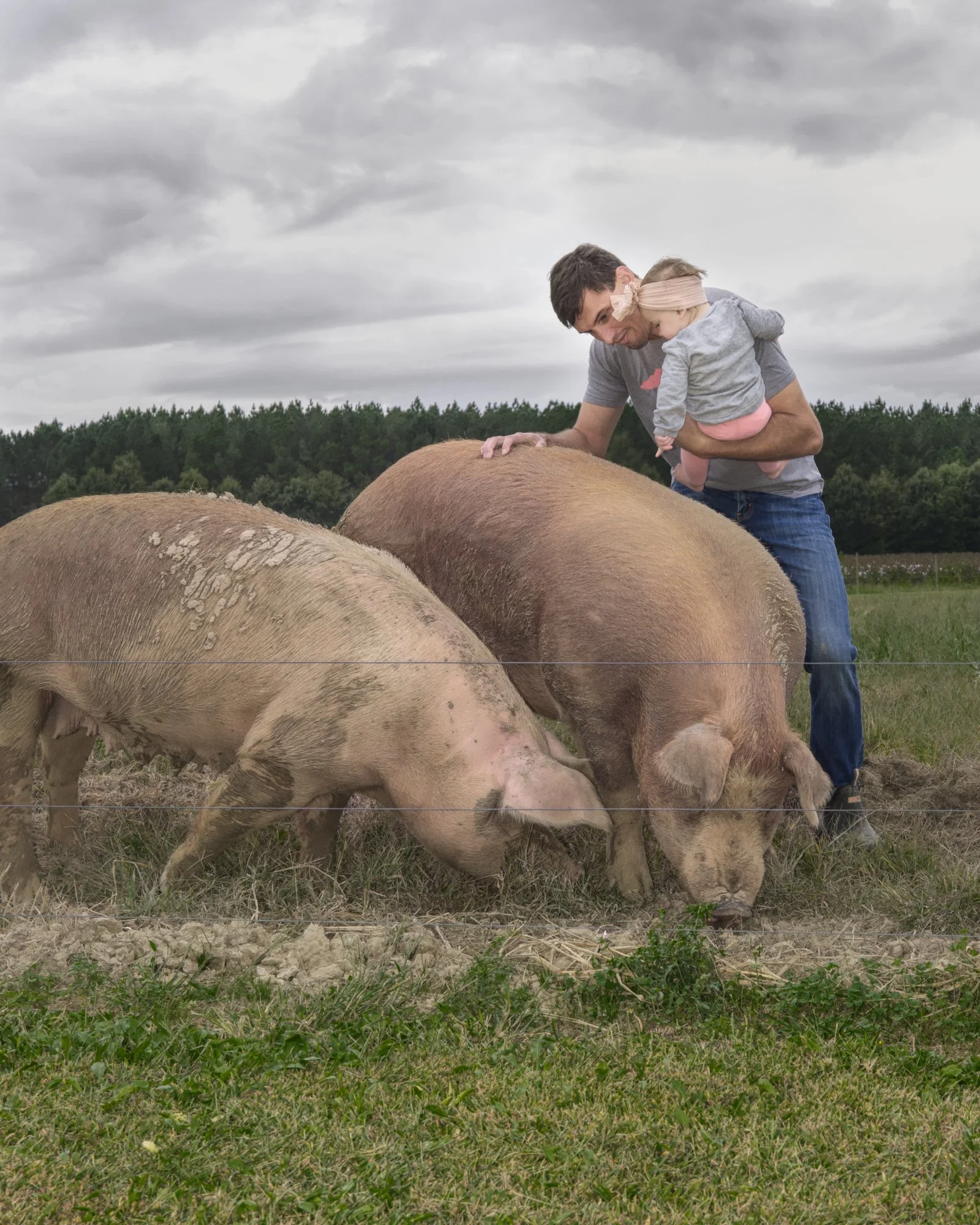 A man holding a young girl, both leaning over the back of a pig, outdoors on a cloudy day with a forest in the background.