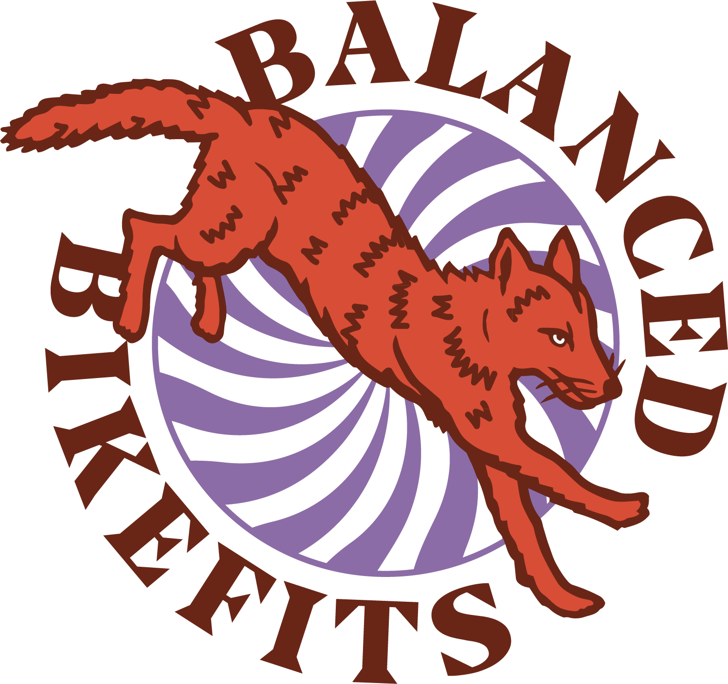 A stylized logo of a wildcat with orange fur and black stripes, surrounded by a purple spiral background and the words 'BALANCE BEYOND BARRIERS' in brown curved text.