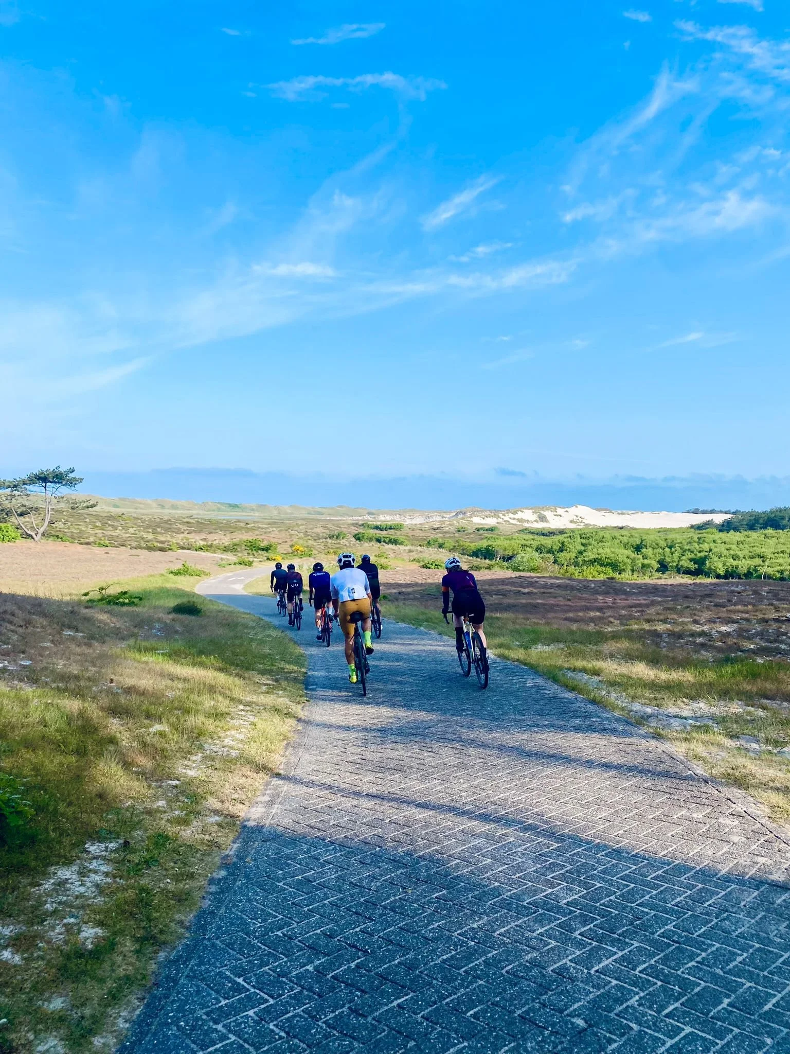 A group of people riding bicycles on a paved path through a natural landscape under a blue sky.