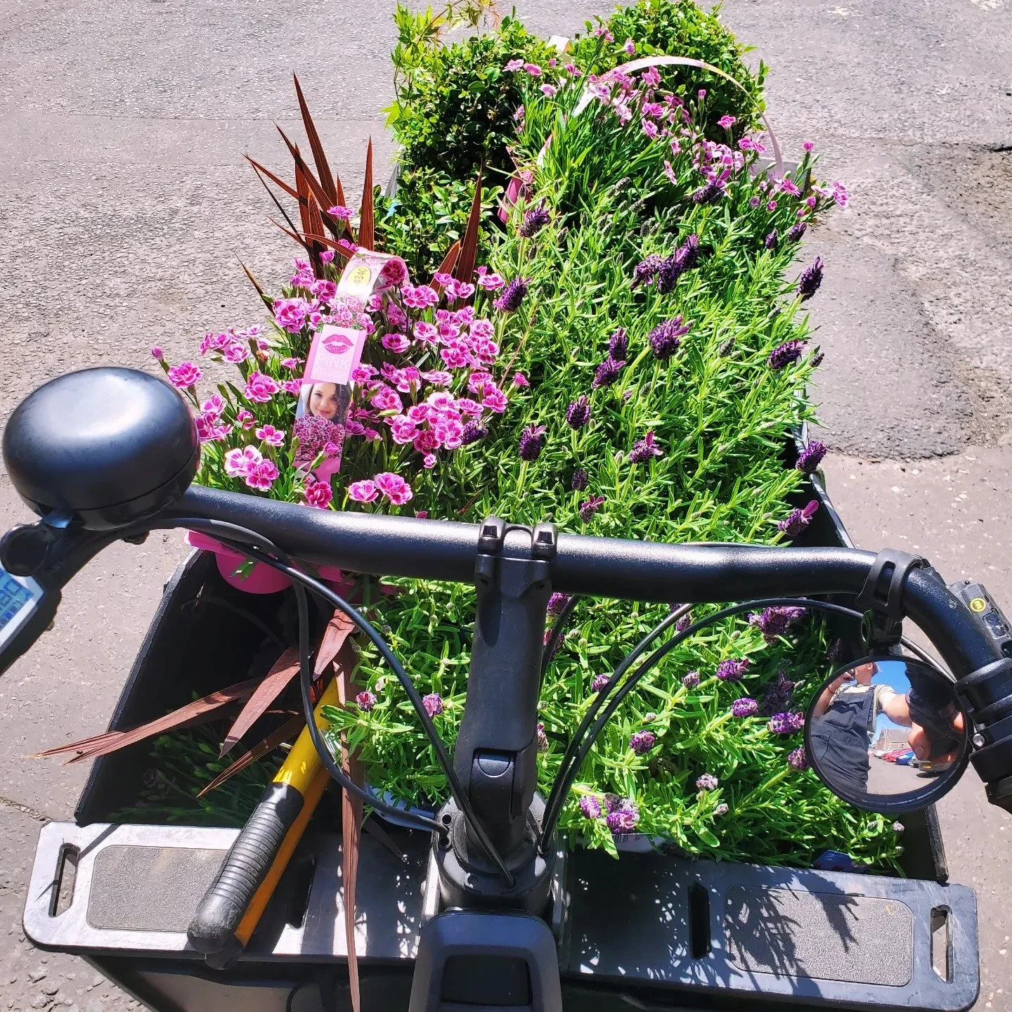 Local reliable gardener available in Glasgow G3 and surrounding areas. Garden maintenance in Glasgow West End G12