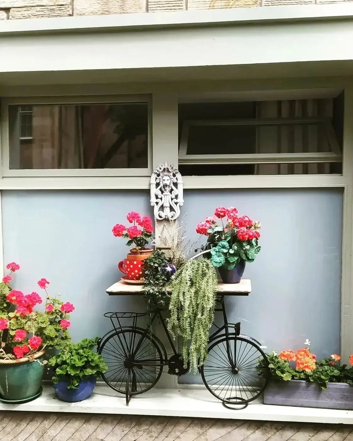 Local reliable gardener available in Glasgow G3 and surrounding areas. Garden maintenance in Glasgow West End G12