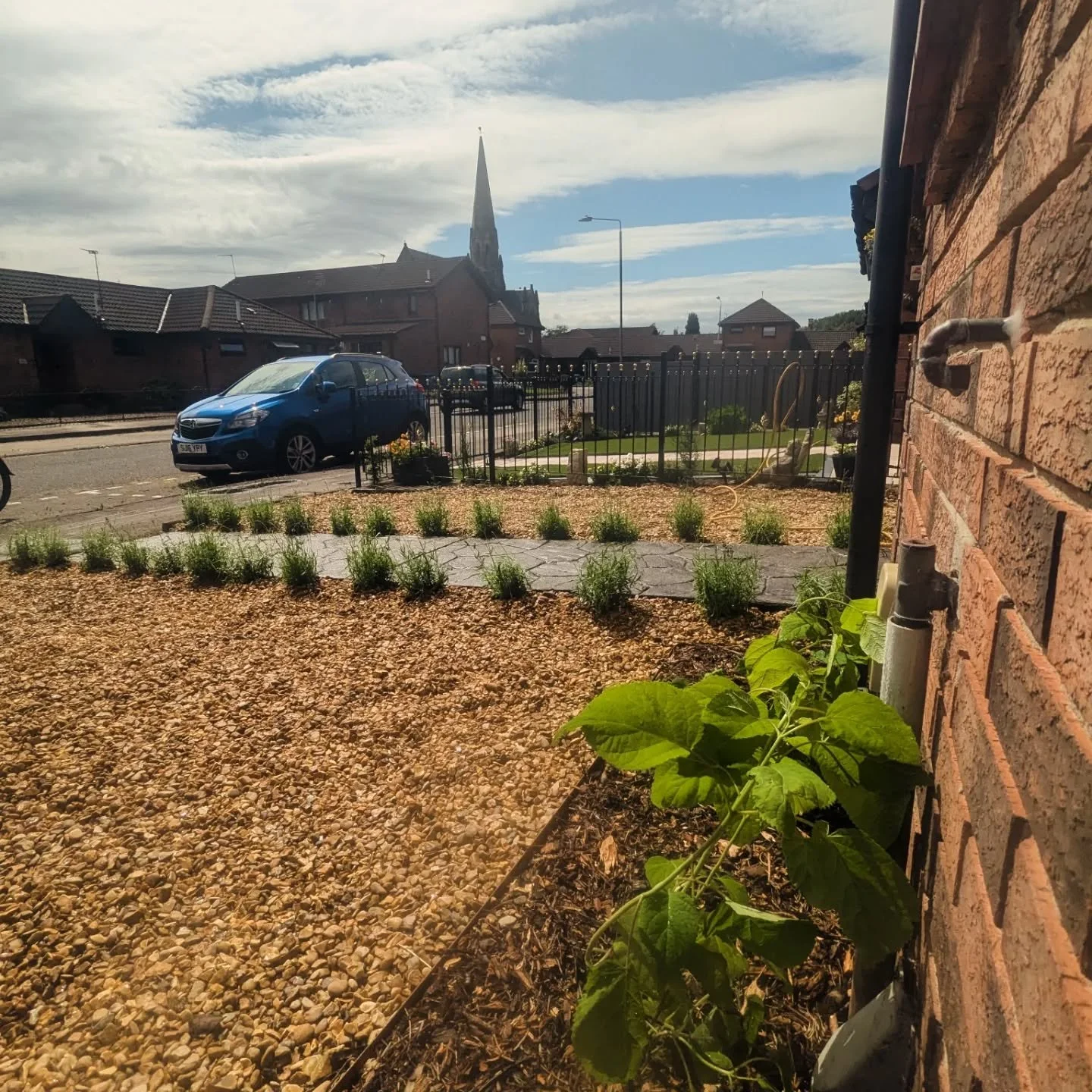 From Tired Lawn to Modern Urban Oasis: A Summer Garden Transformation