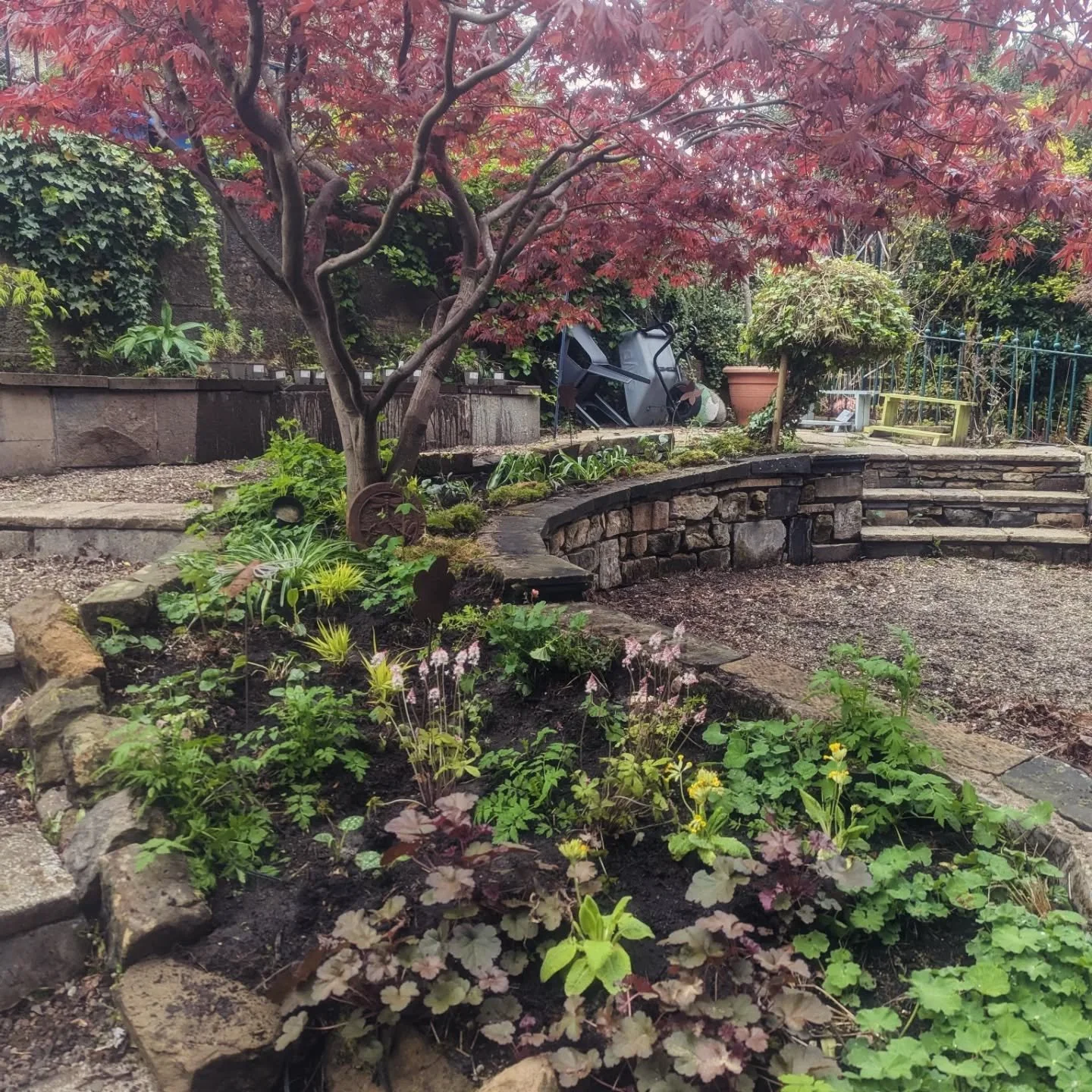 Woodland Style Border With a Touch of the Exotic 🌿