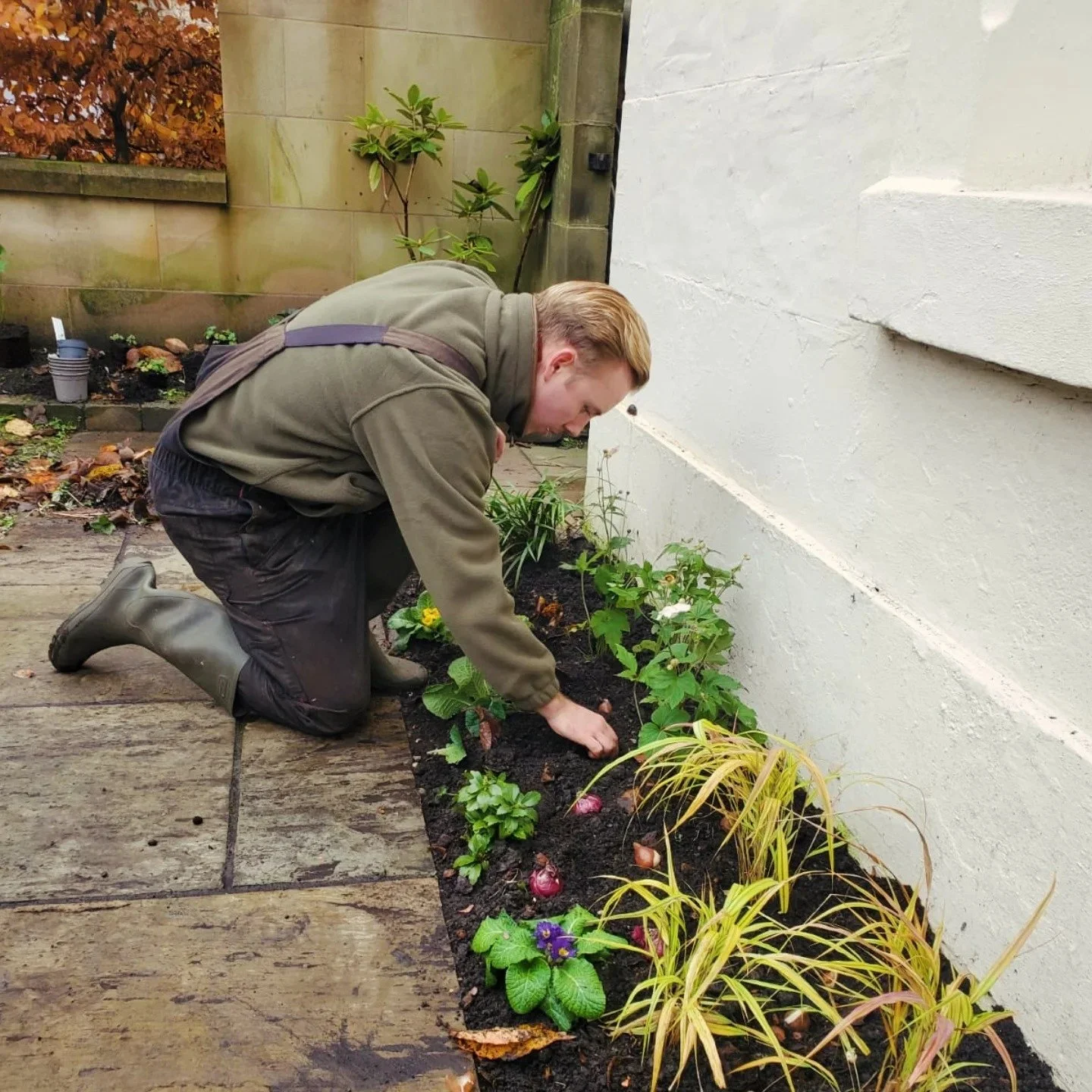 Why Autumn Is the Best Time for Planting in Scotland