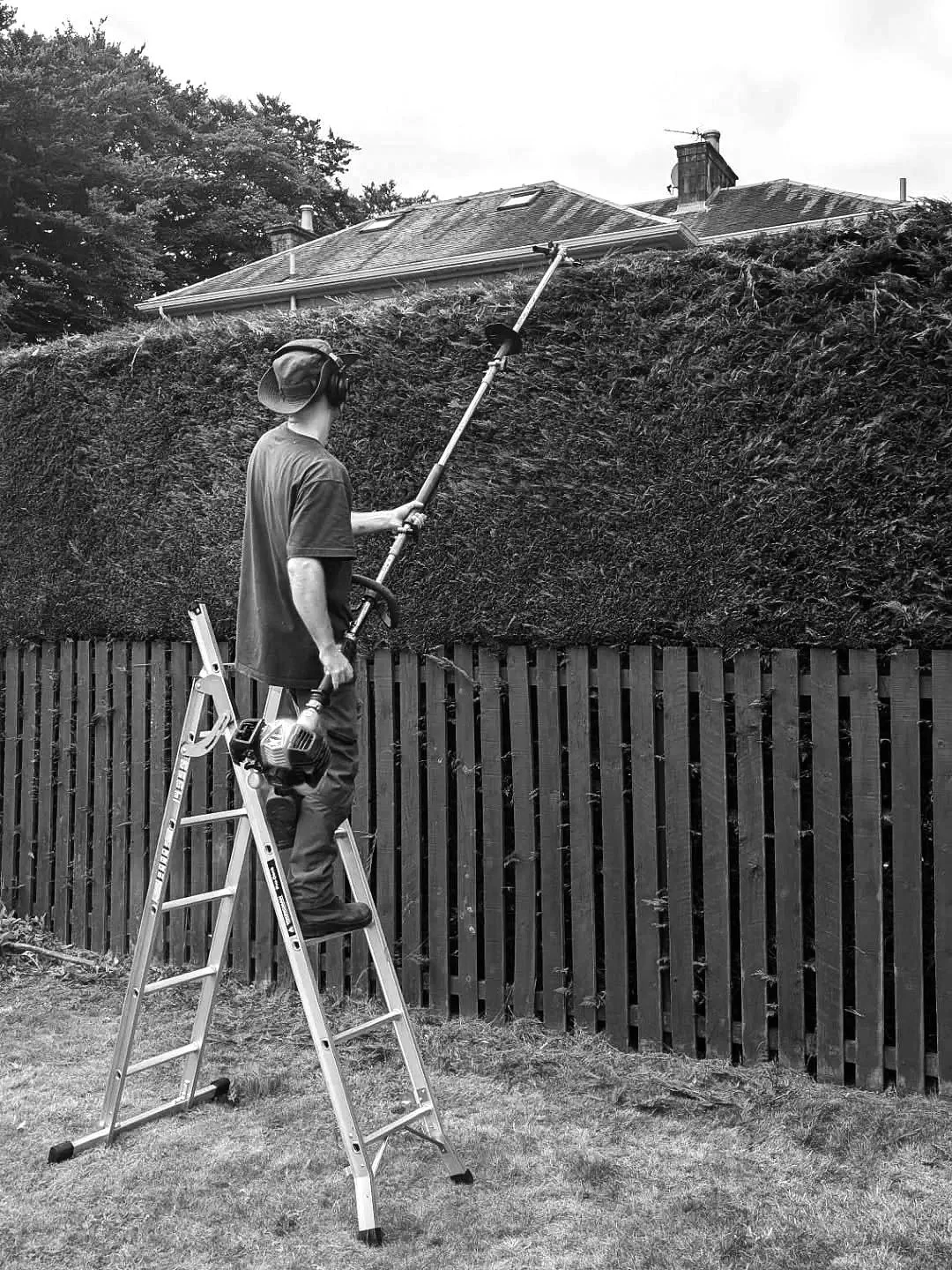 Gardener hedge trimming in Glasgow G41