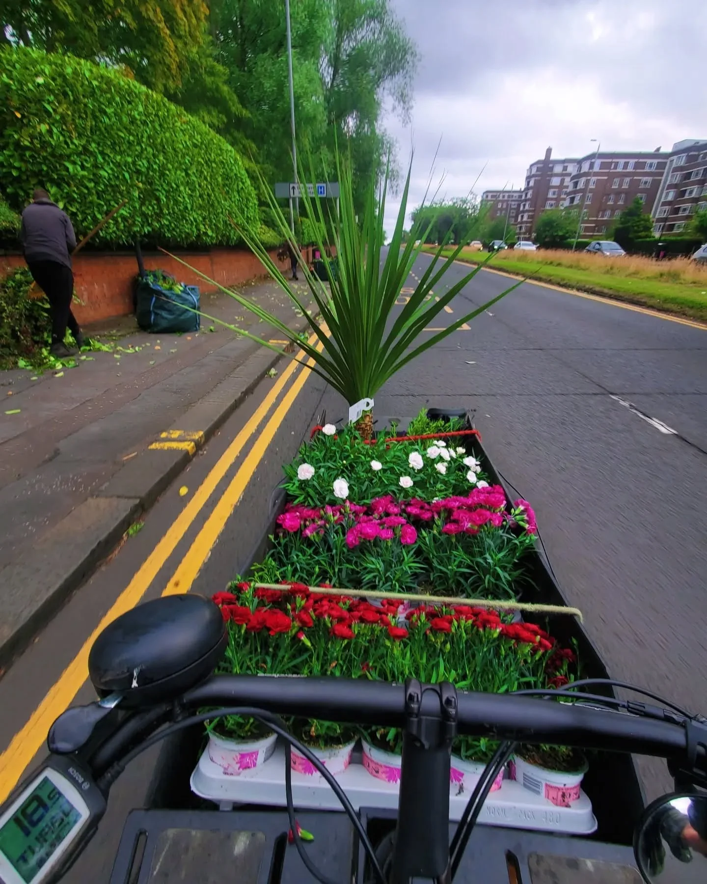 Local reliable gardener available in Glasgow G3 and surrounding areas. Garden maintenance in Glasgow West End G12