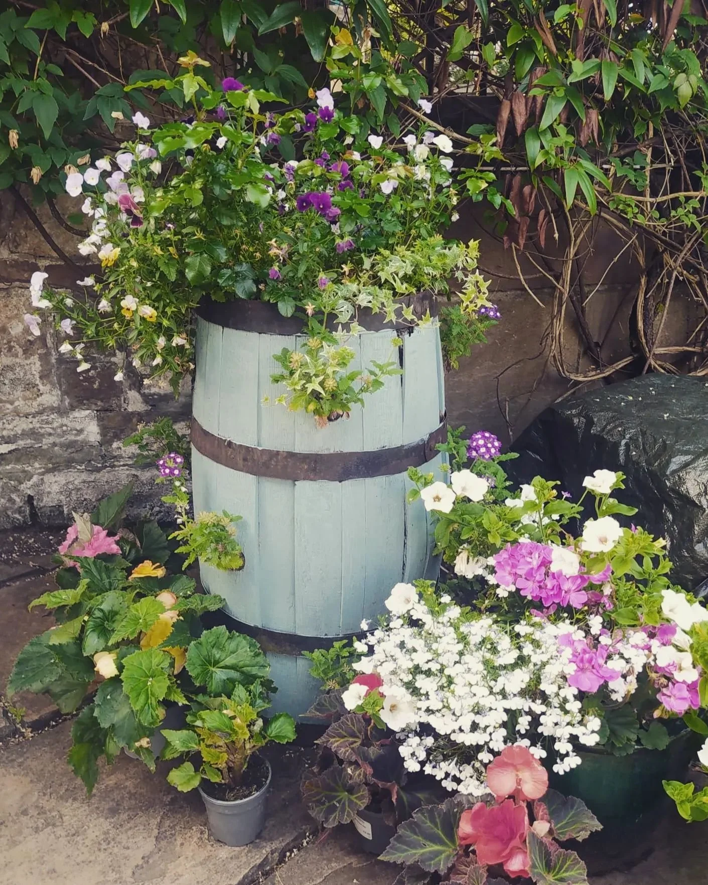 Local reliable gardener available in Glasgow G3 and surrounding areas. Garden maintenance in Glasgow West End G12