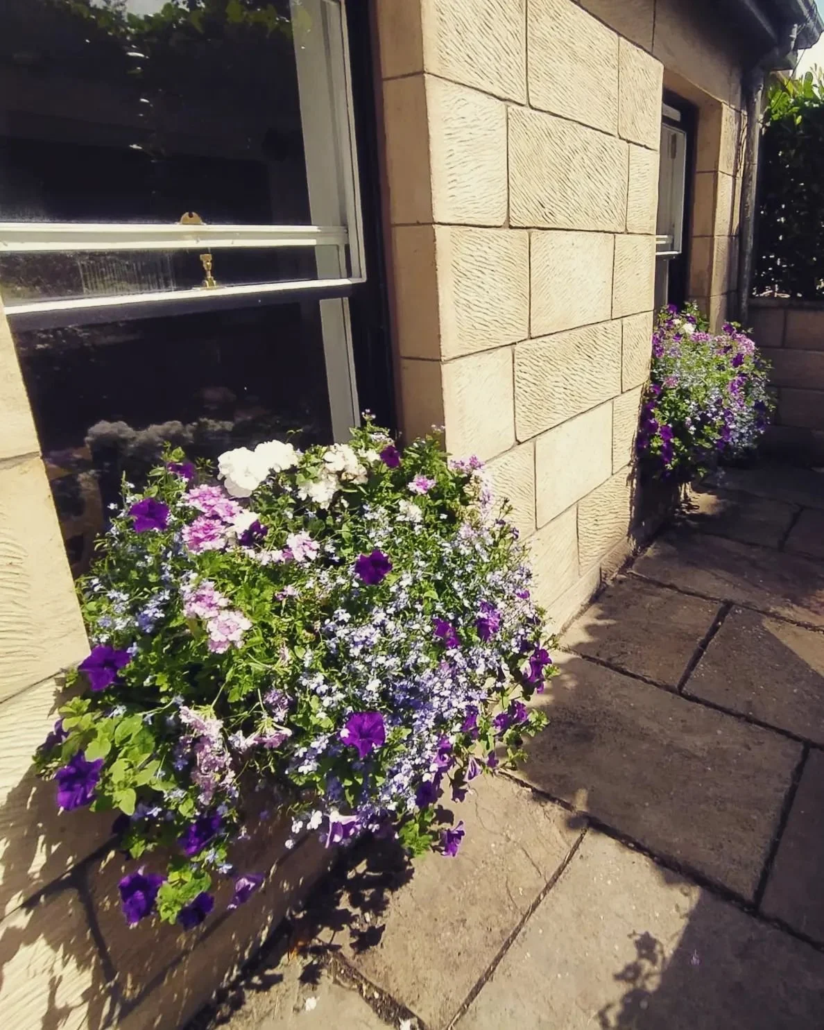 Local reliable gardener available in Glasgow G3 and surrounding areas. Garden maintenance in Glasgow West End G12