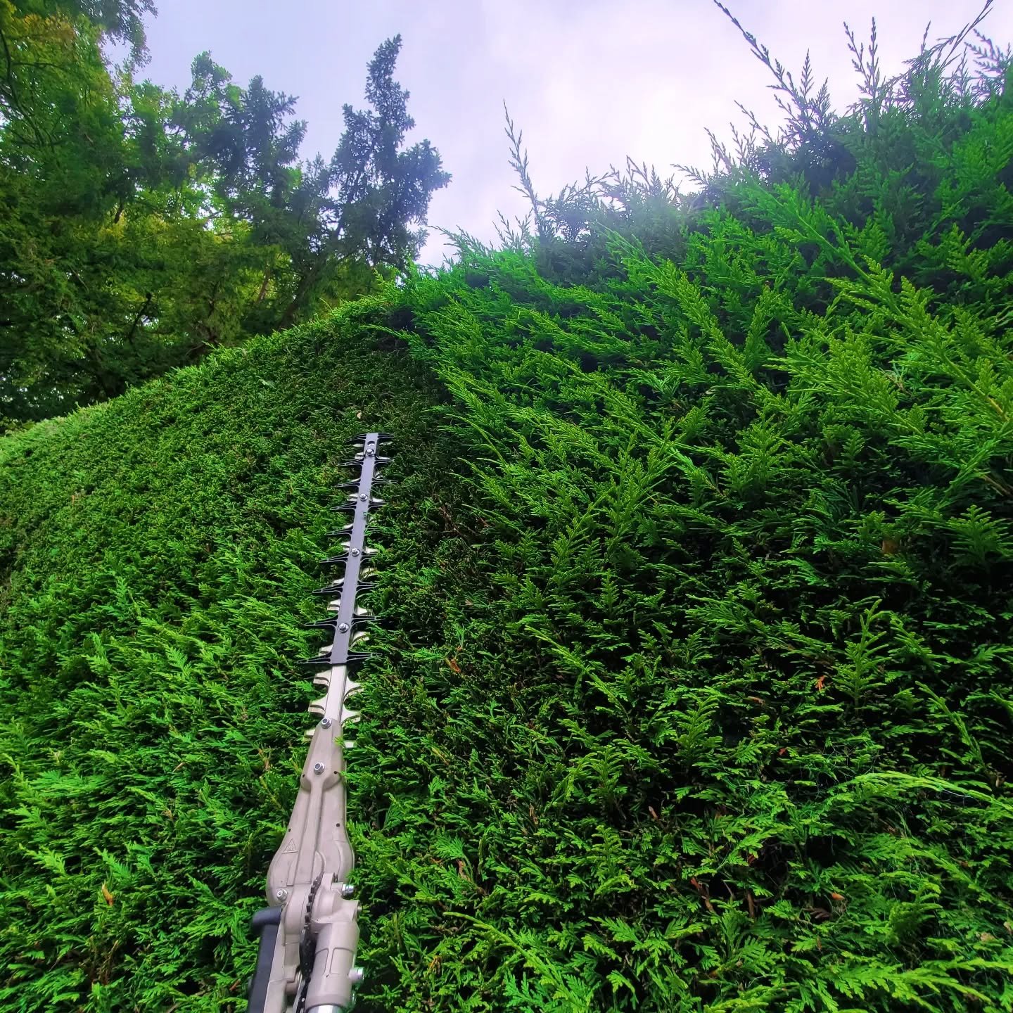 Local reliable gardener available in Glasgow G3 and surrounding areas. Garden maintenance in Glasgow West End G12