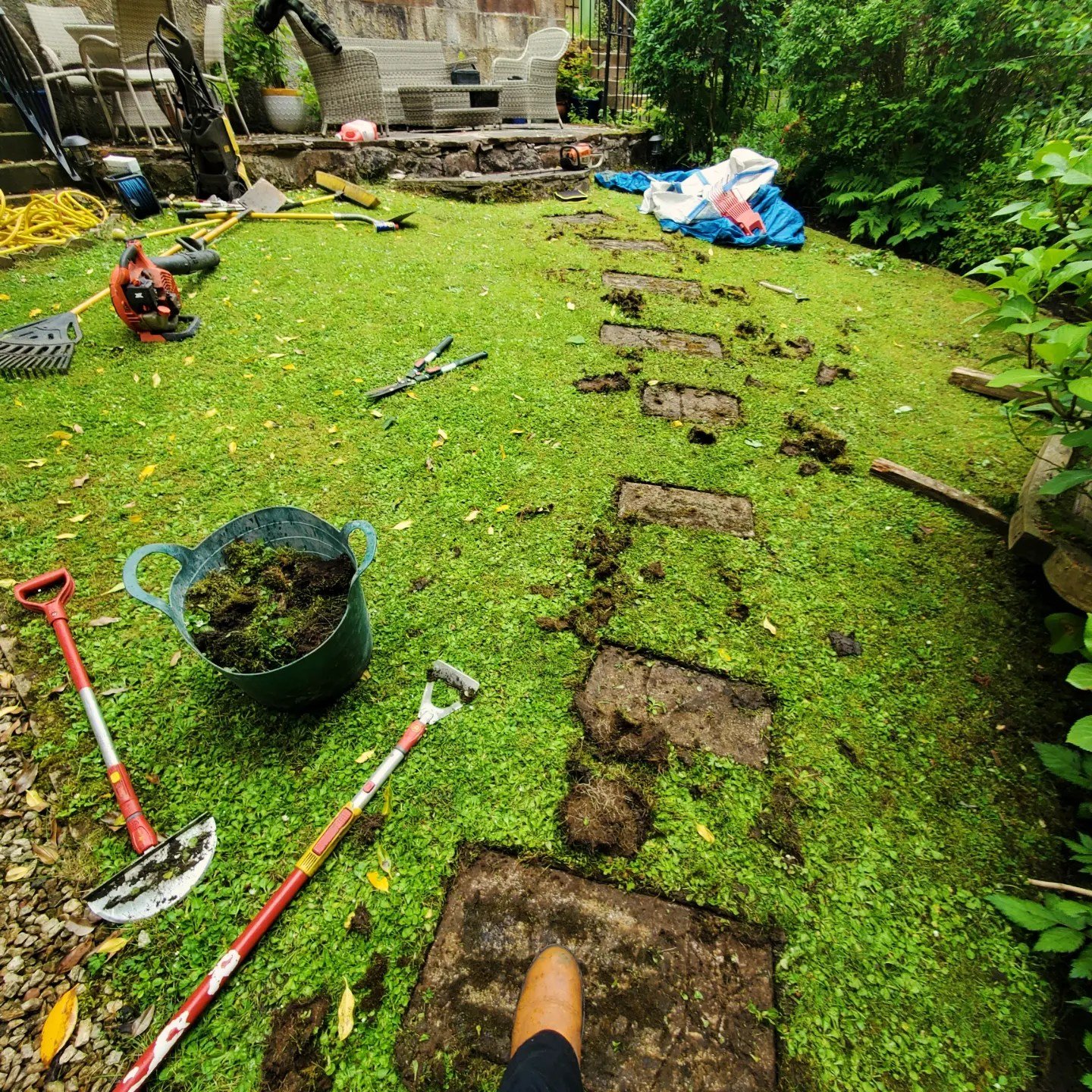 Local reliable gardener available in Glasgow G3 and surrounding areas. Garden maintenance in Glasgow West End G12