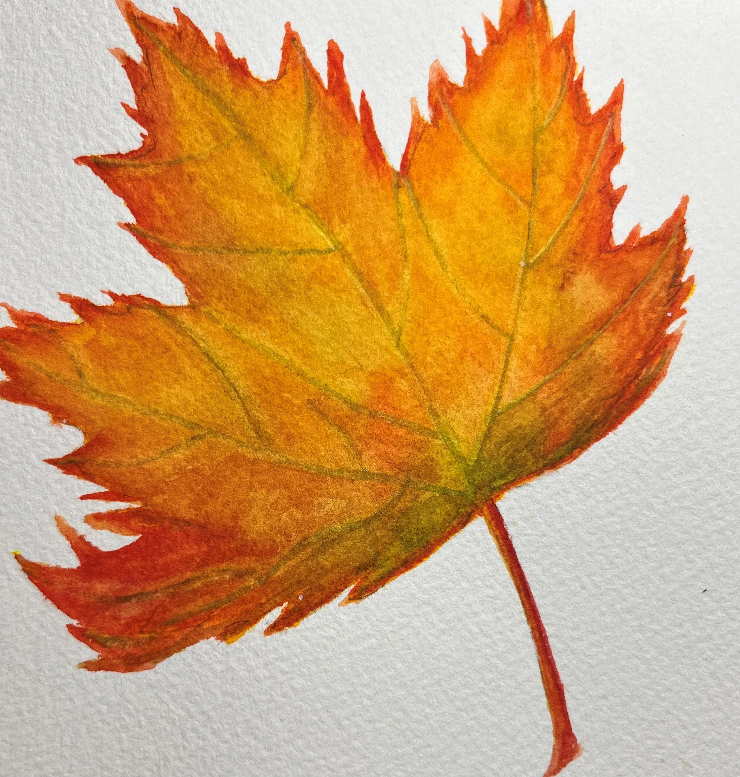 Fall Maple Leaf- Vibrant Orange