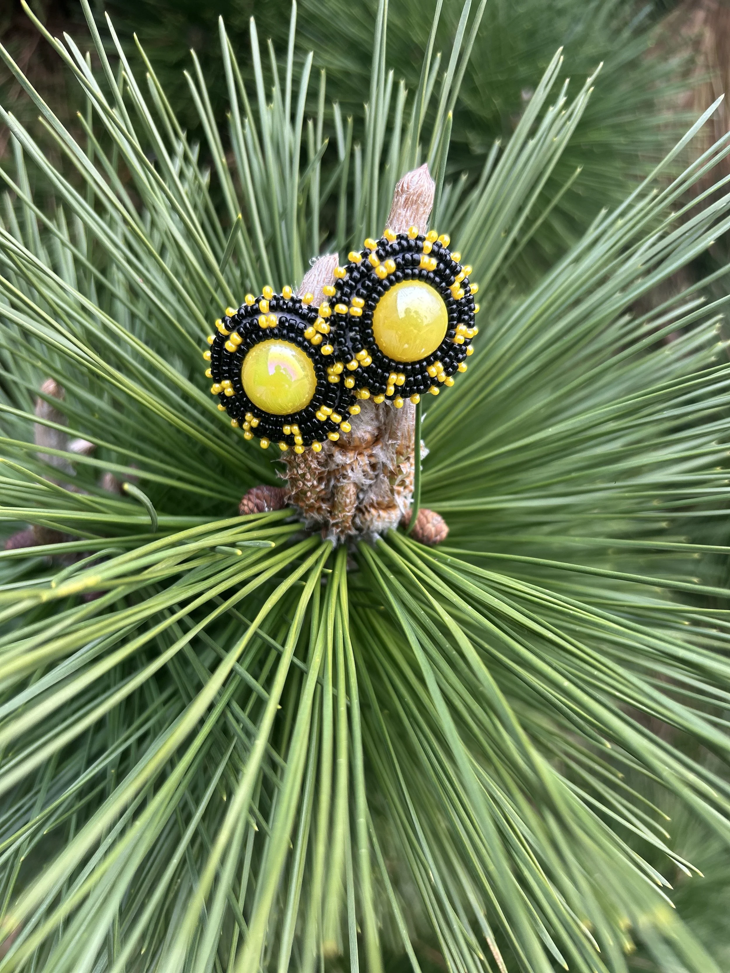 Golden Eclipse Studs