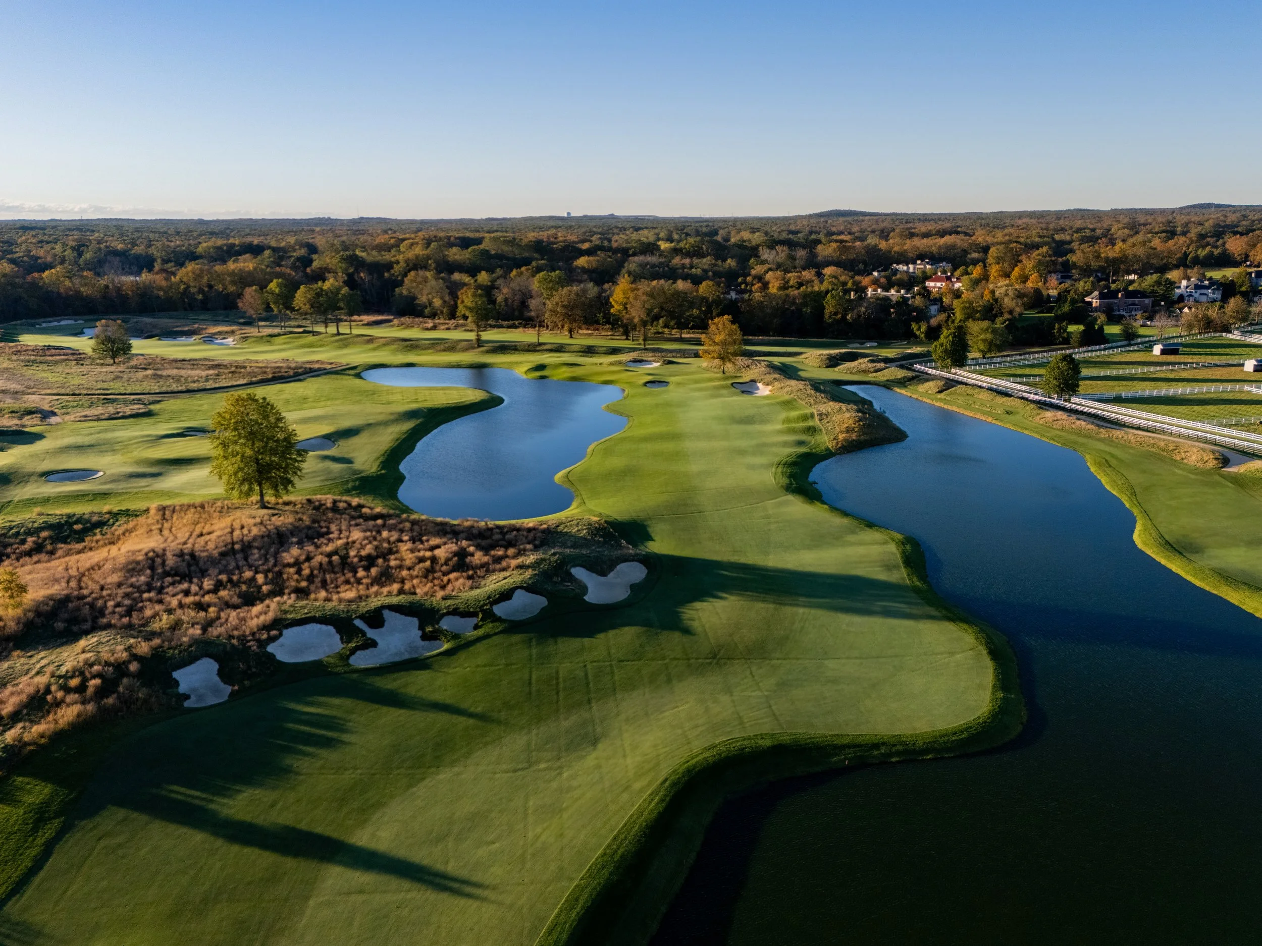 Due Process Website-1.jpg