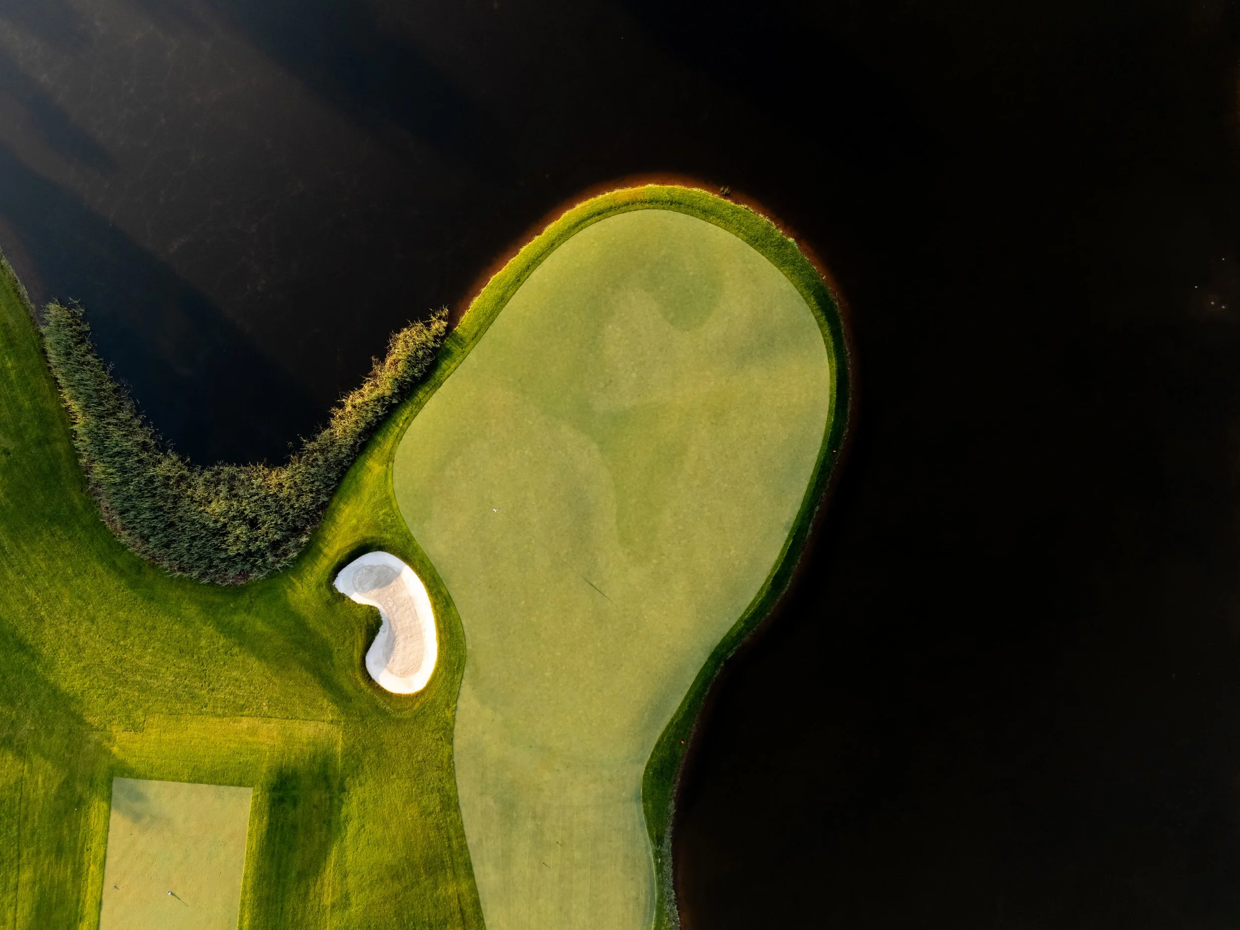 Trump Website-05.jpg