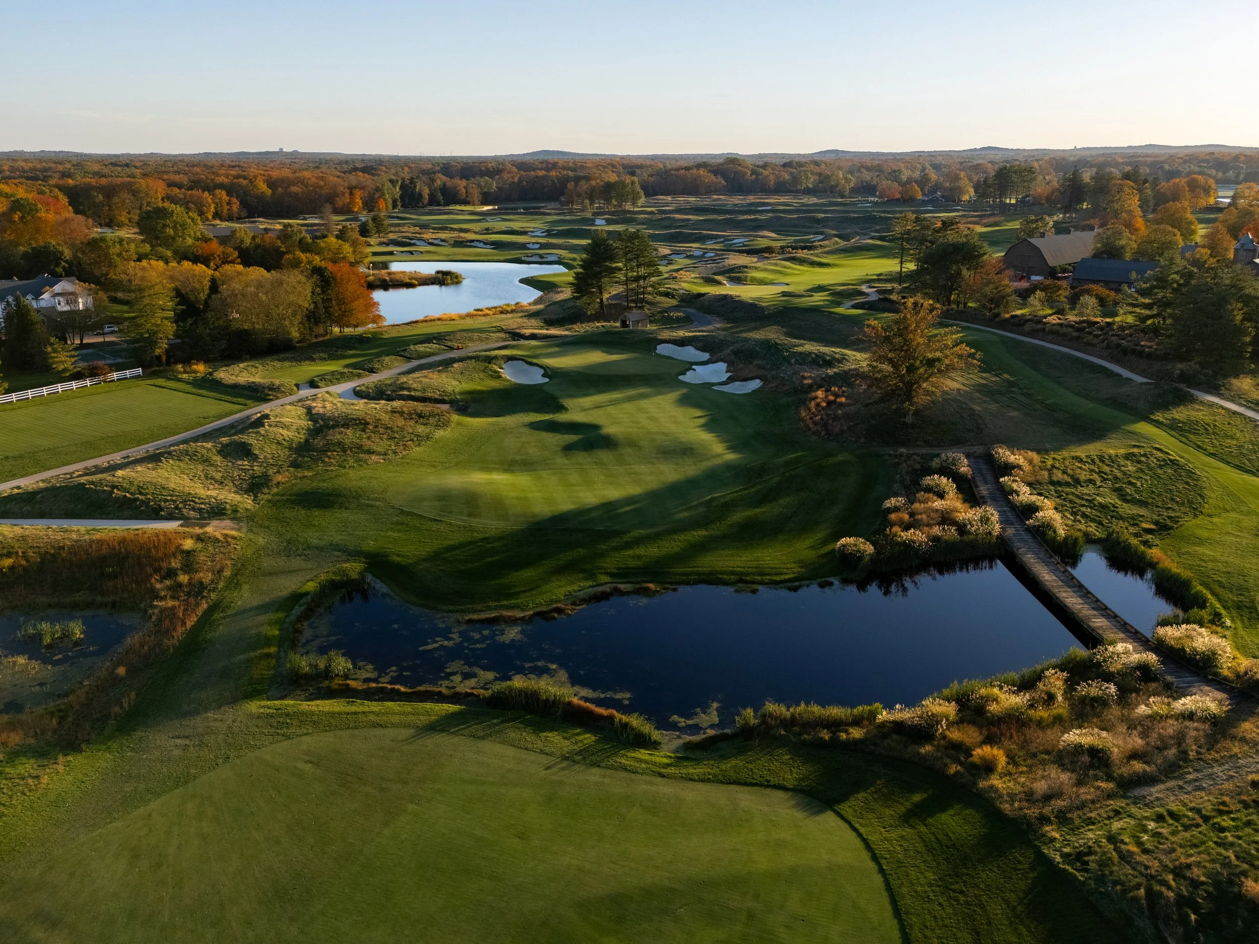 Due Process Website-7.jpg