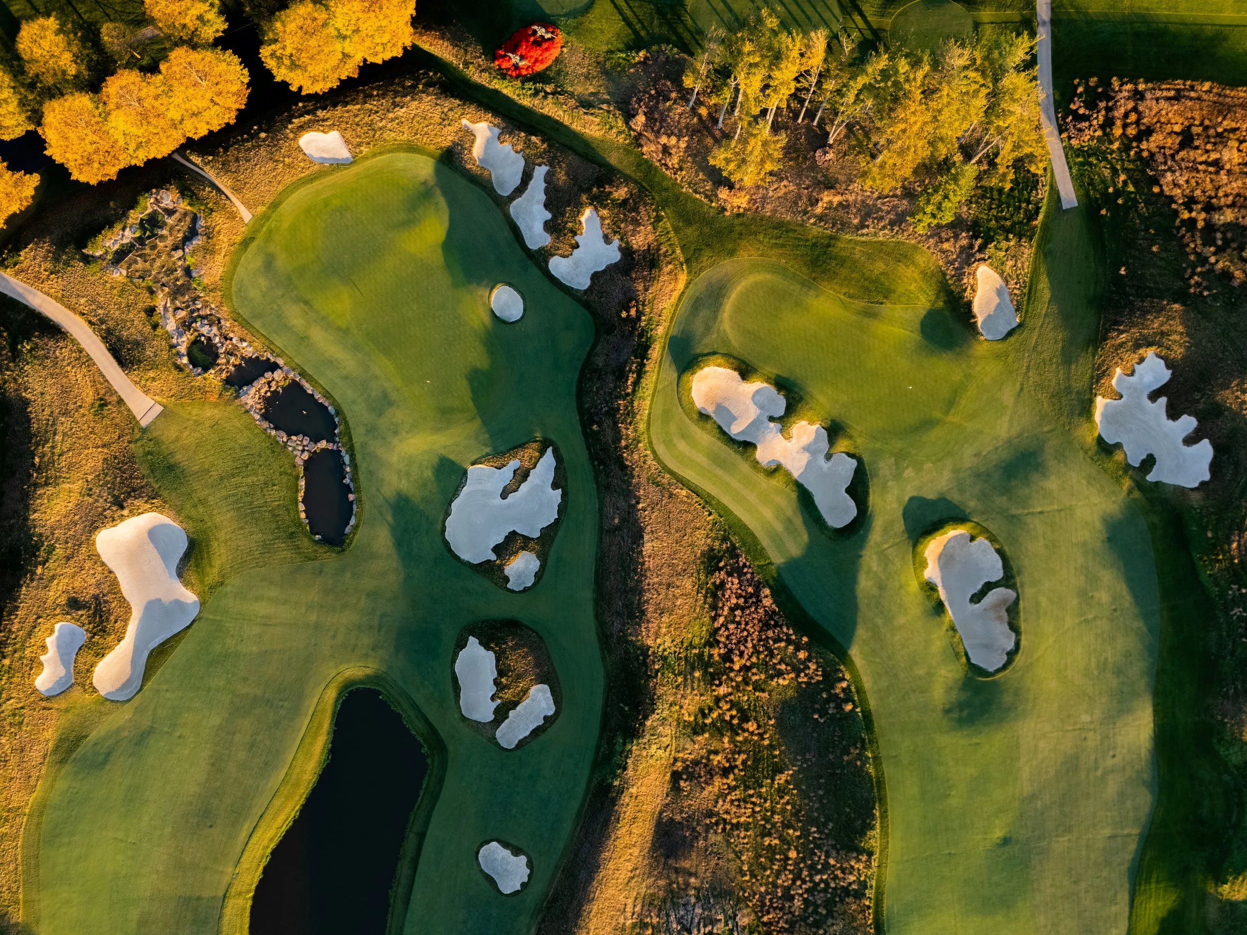 Due Process Website-3.jpg