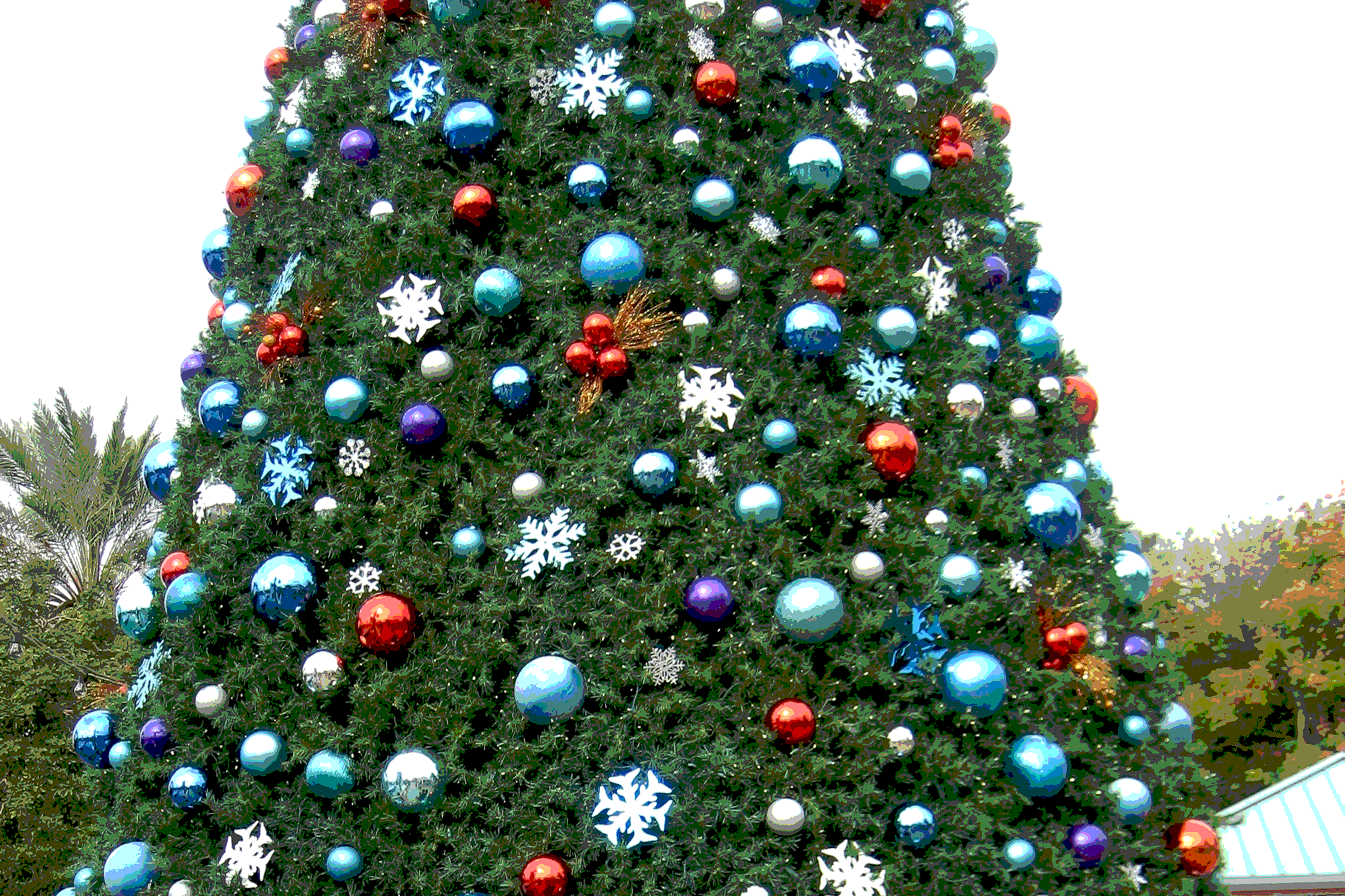 Reunión en Casa: edición navideña