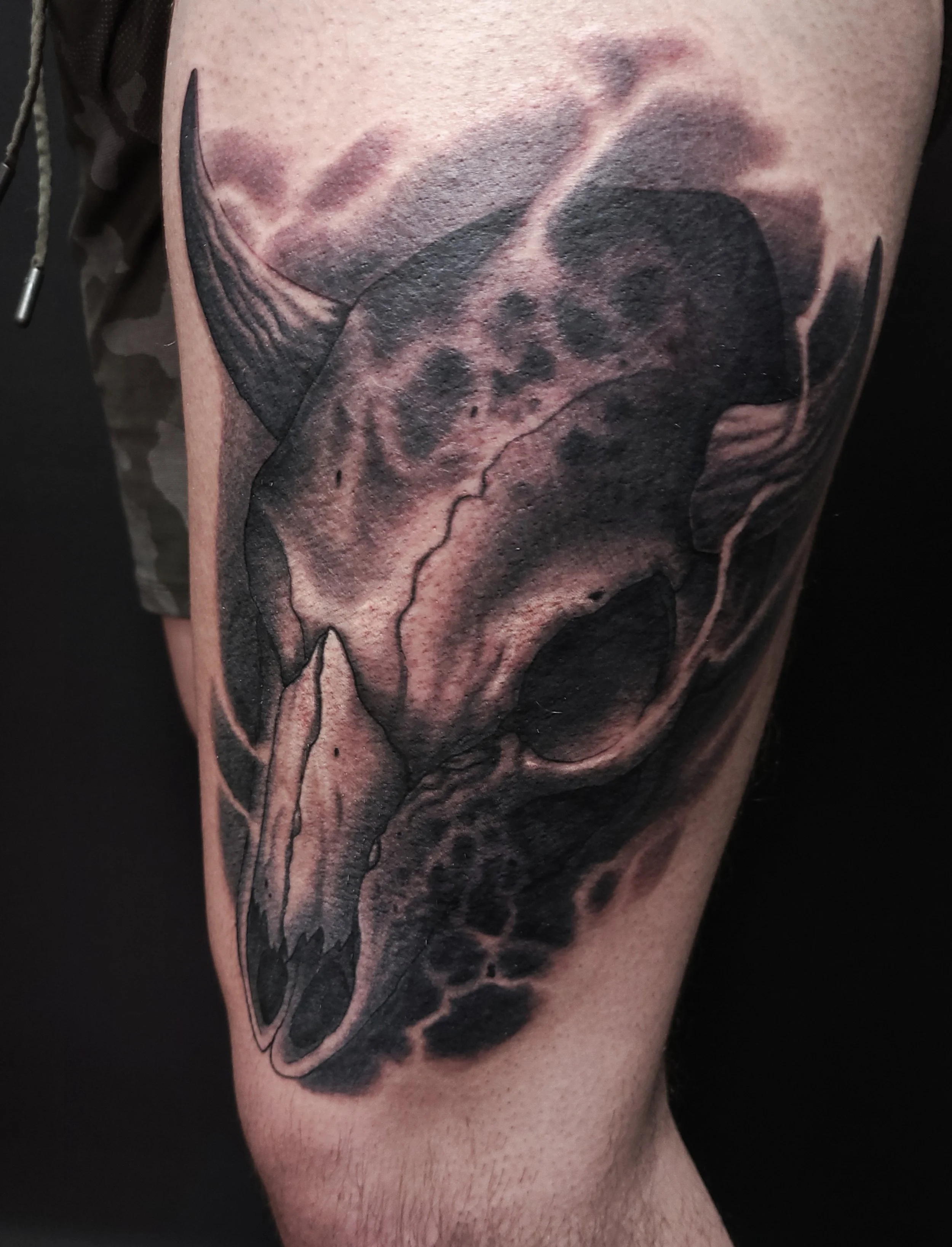 Bull Skull Tattoo