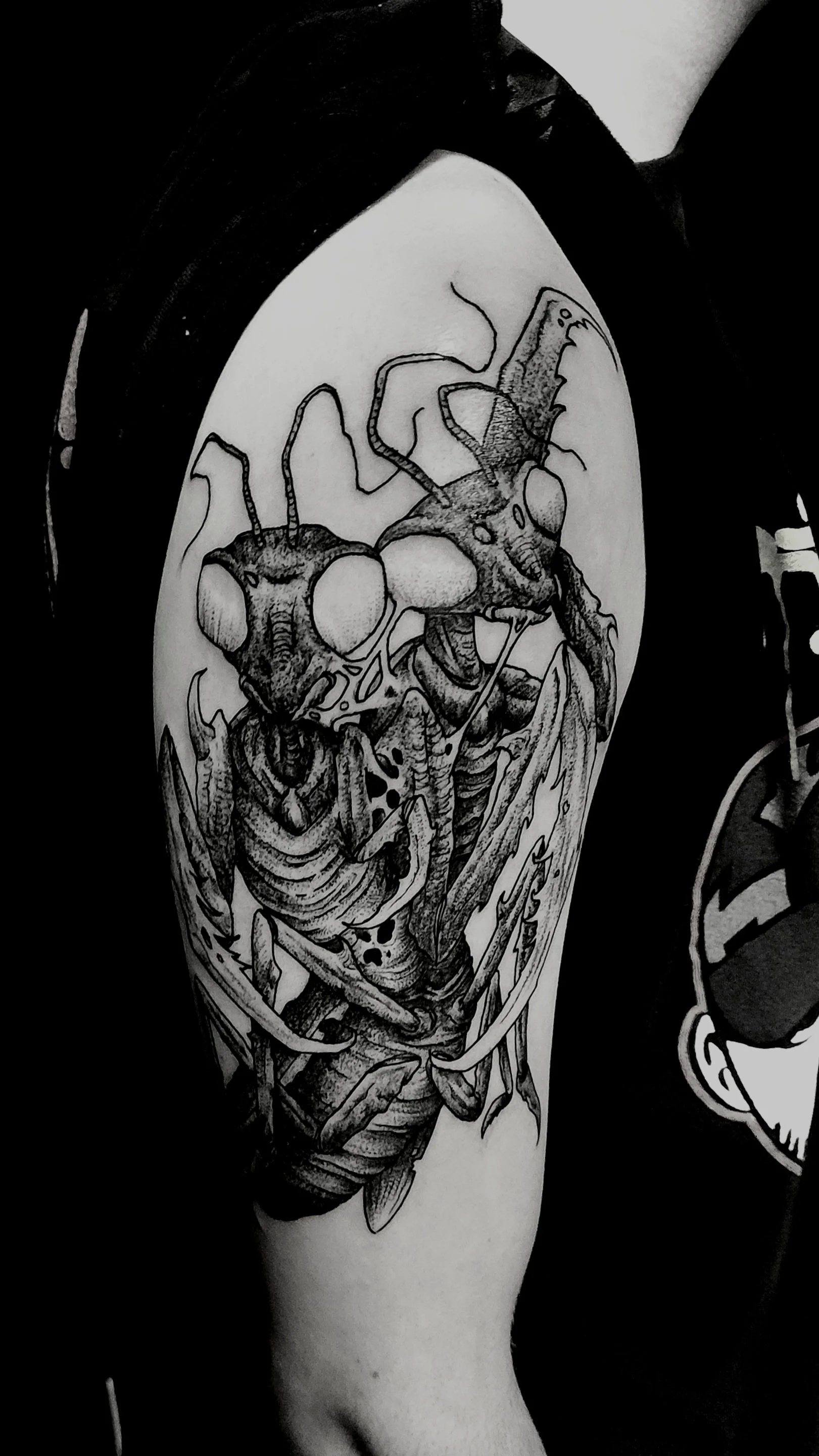 Mantis Tattoo