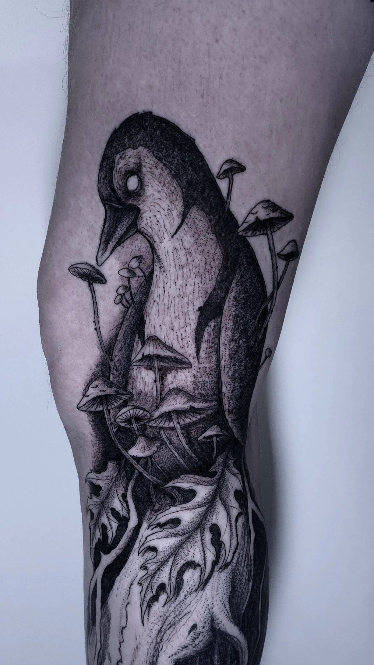 tattoo-of-a-penguin-on-a-knee
