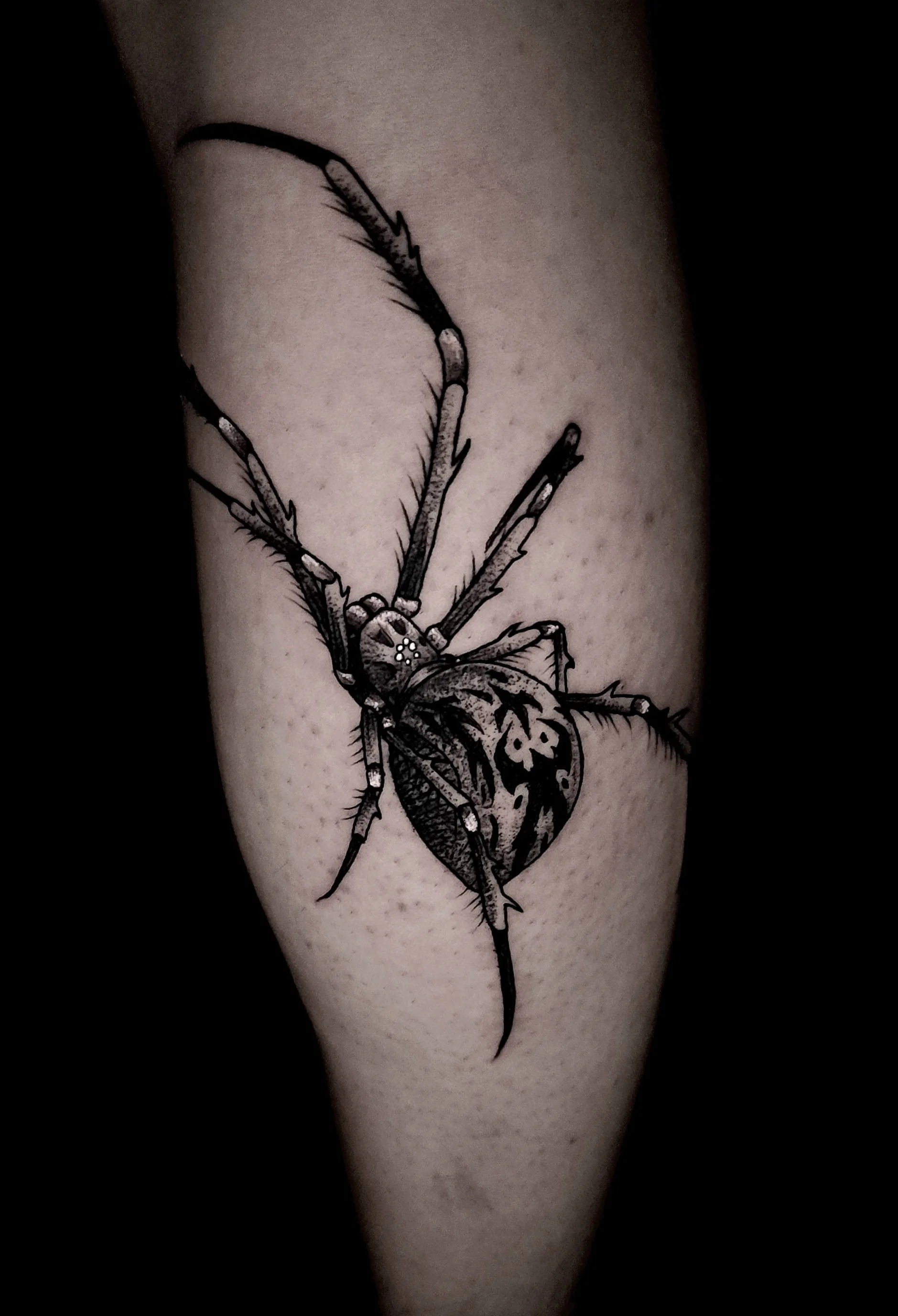 Spider Tattoo